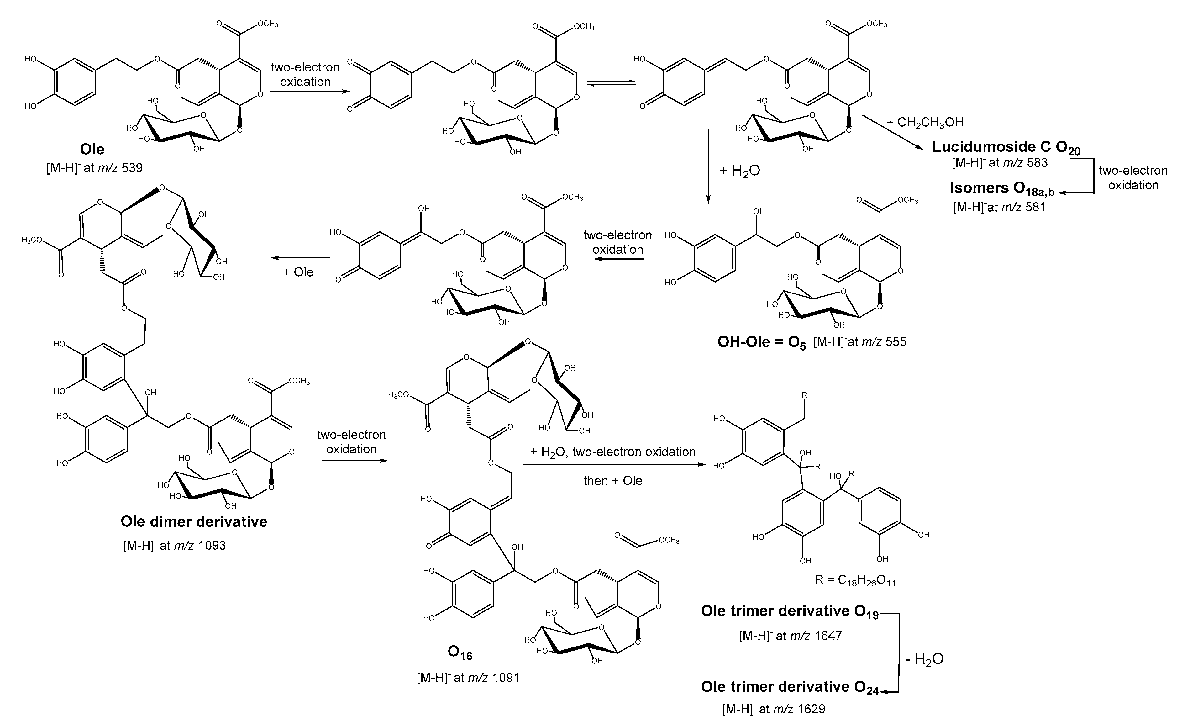 Biomolecules 09 00802 sch001 Biomolecules 09 00802 sch001