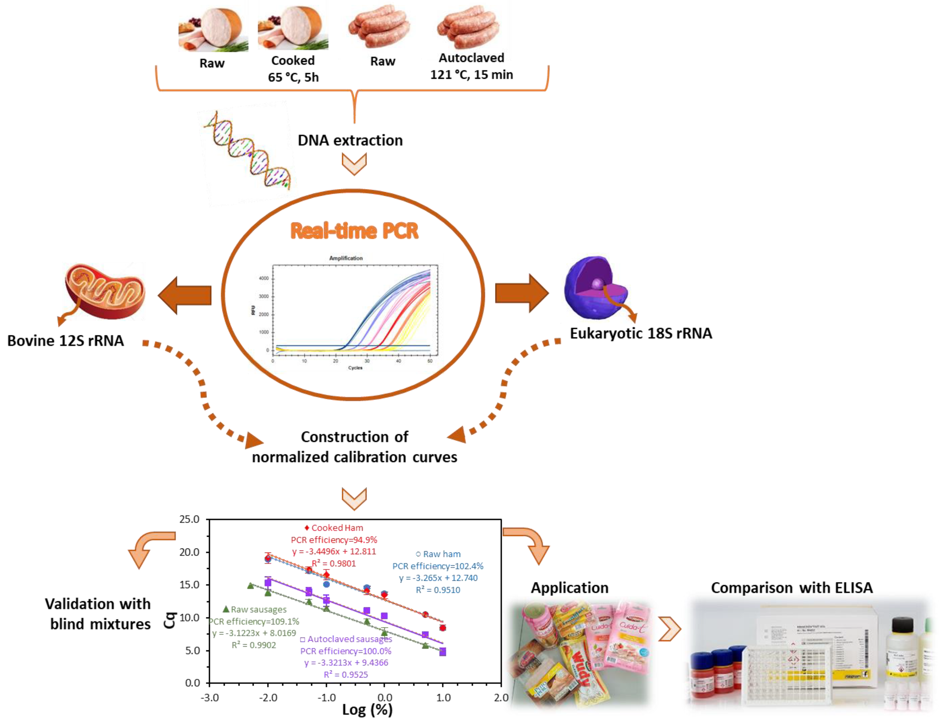 Biomolecules 09 00804 g001