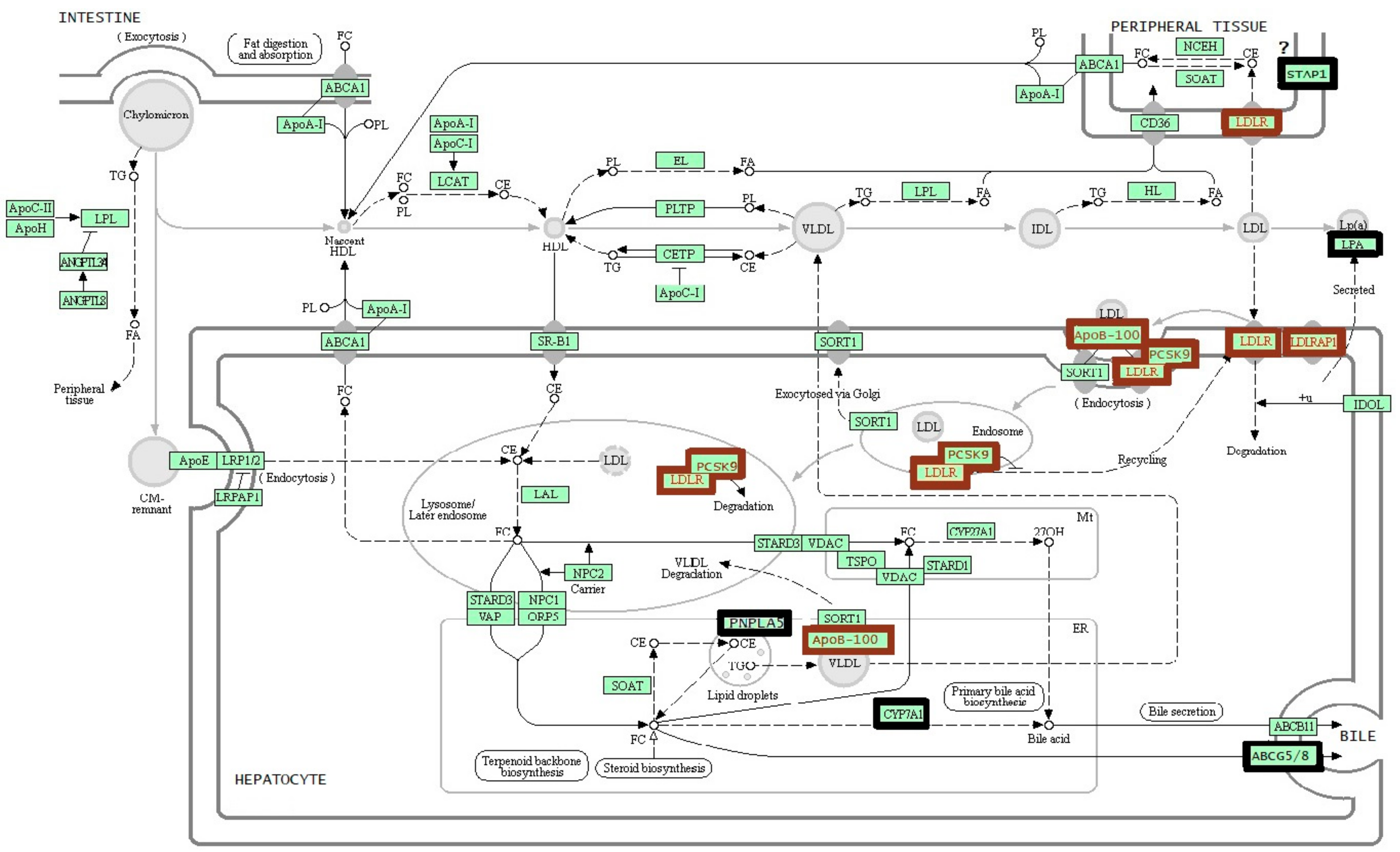 Biomolecules 09 00807 g001