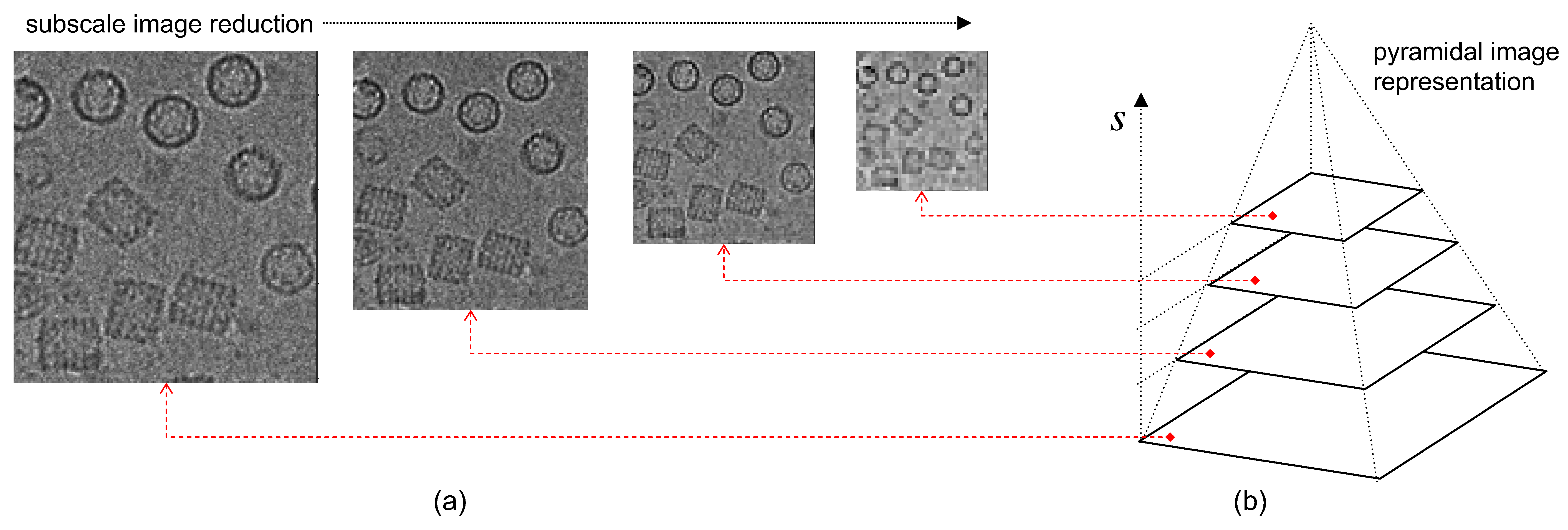 Biomolecules 09 00809 g003