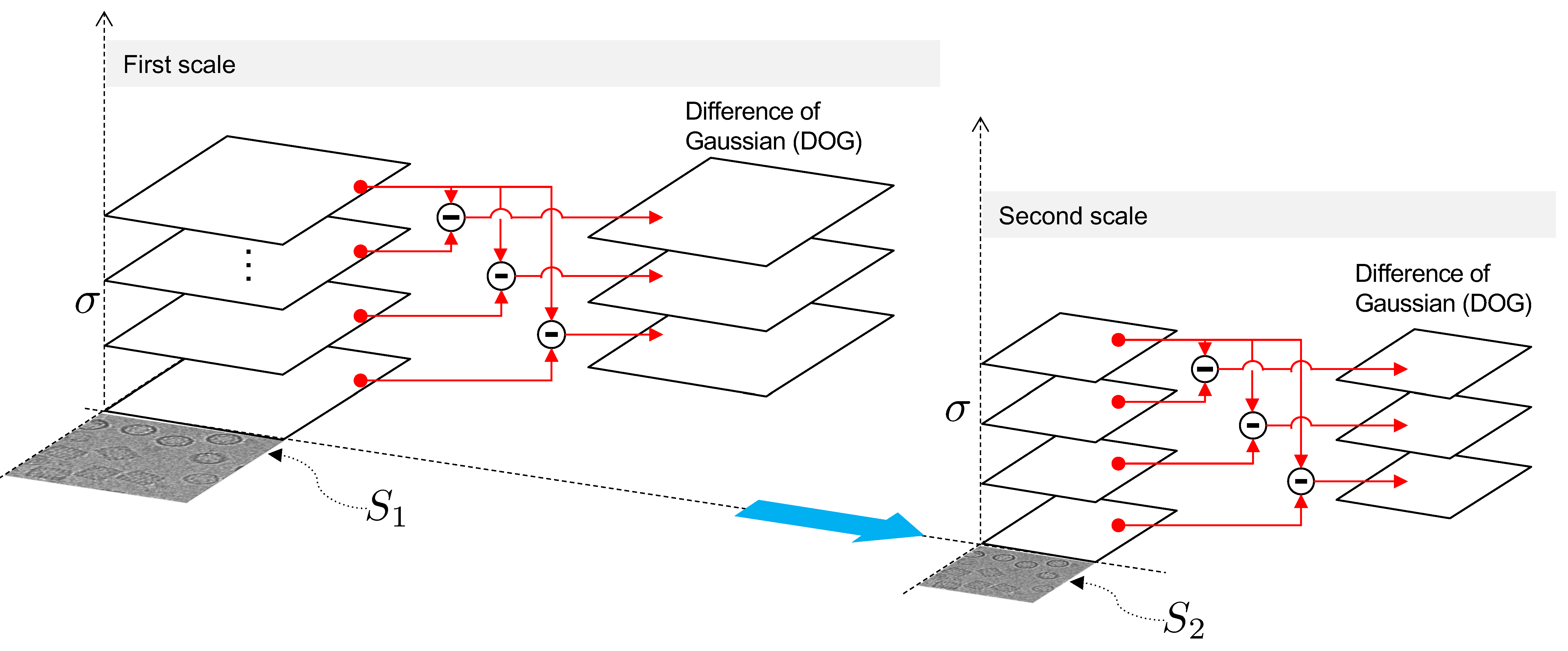 Biomolecules 09 00809 g004