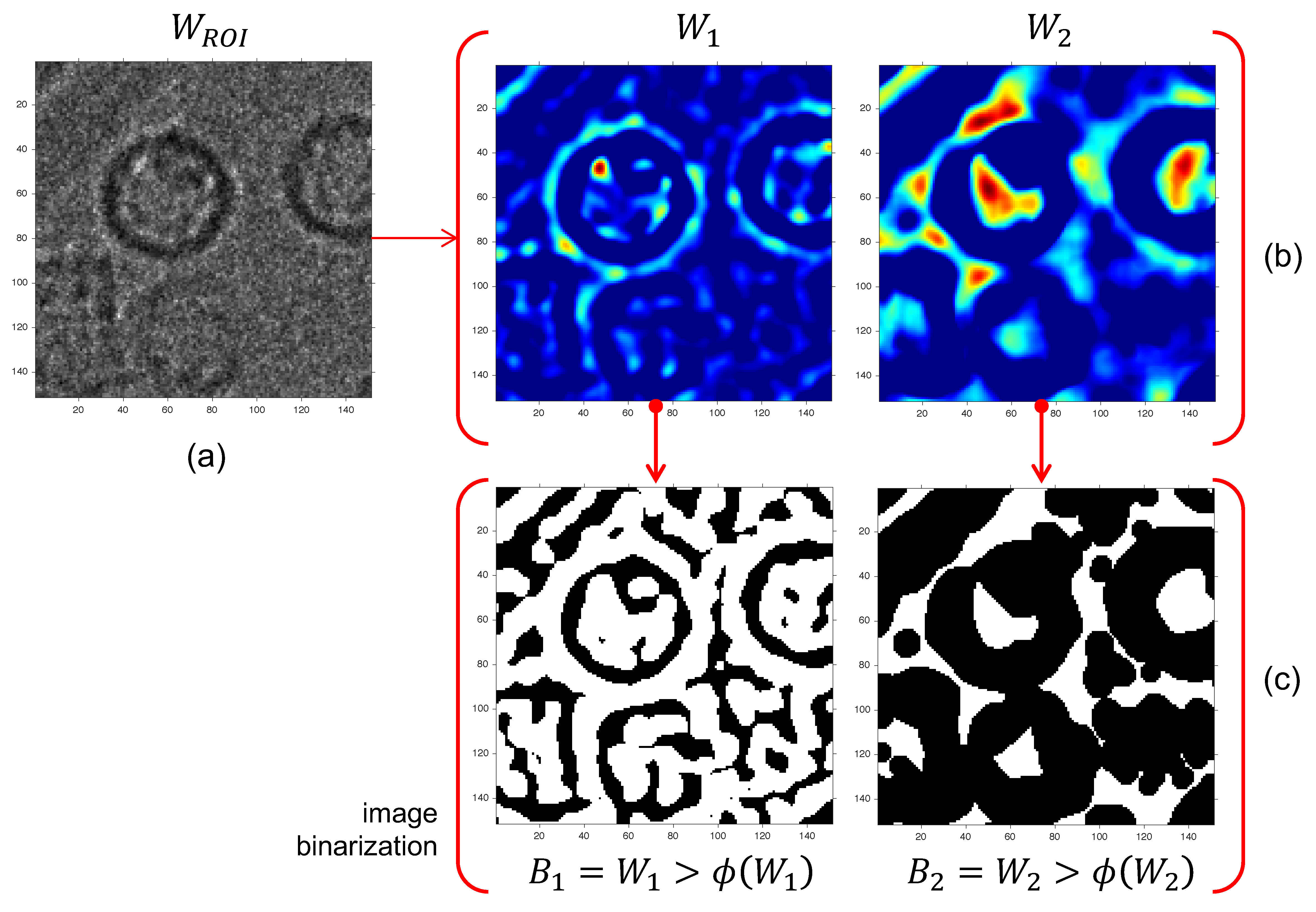 Biomolecules 09 00809 g005