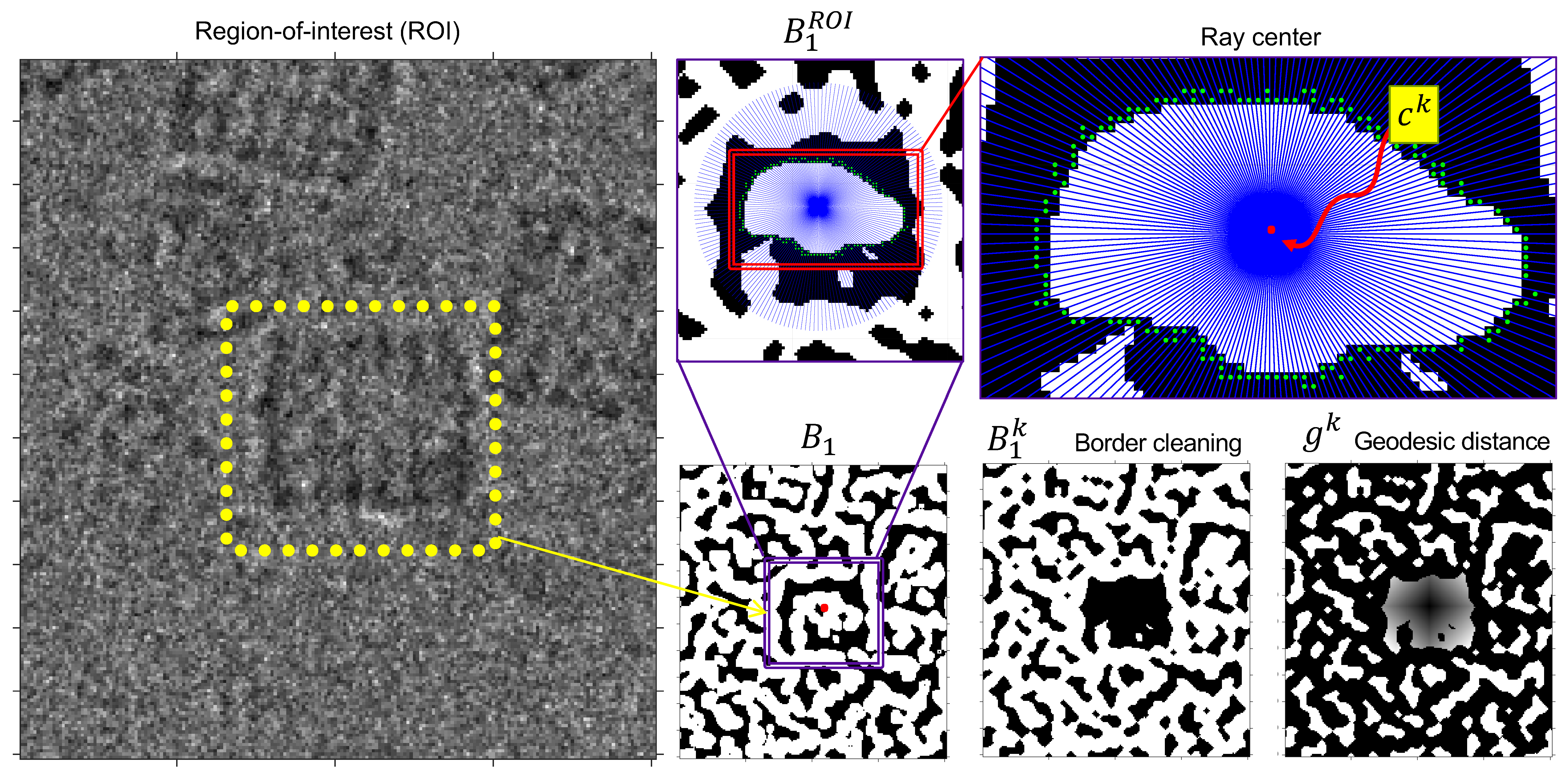 Biomolecules 09 00809 g008