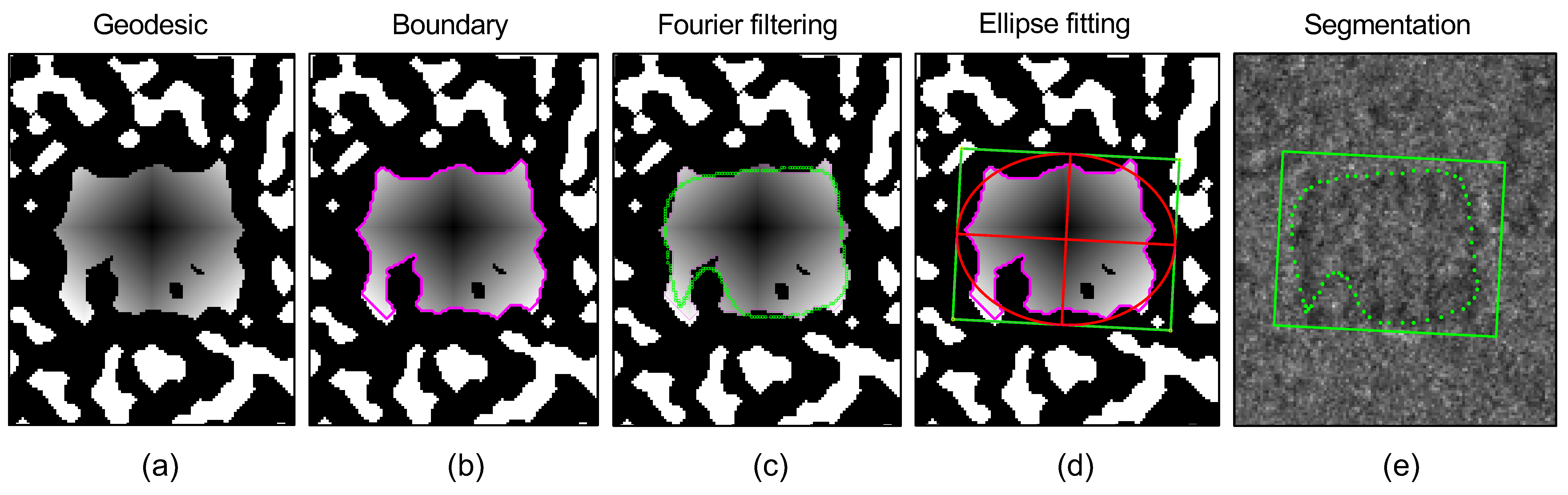 Biomolecules 09 00809 g009
