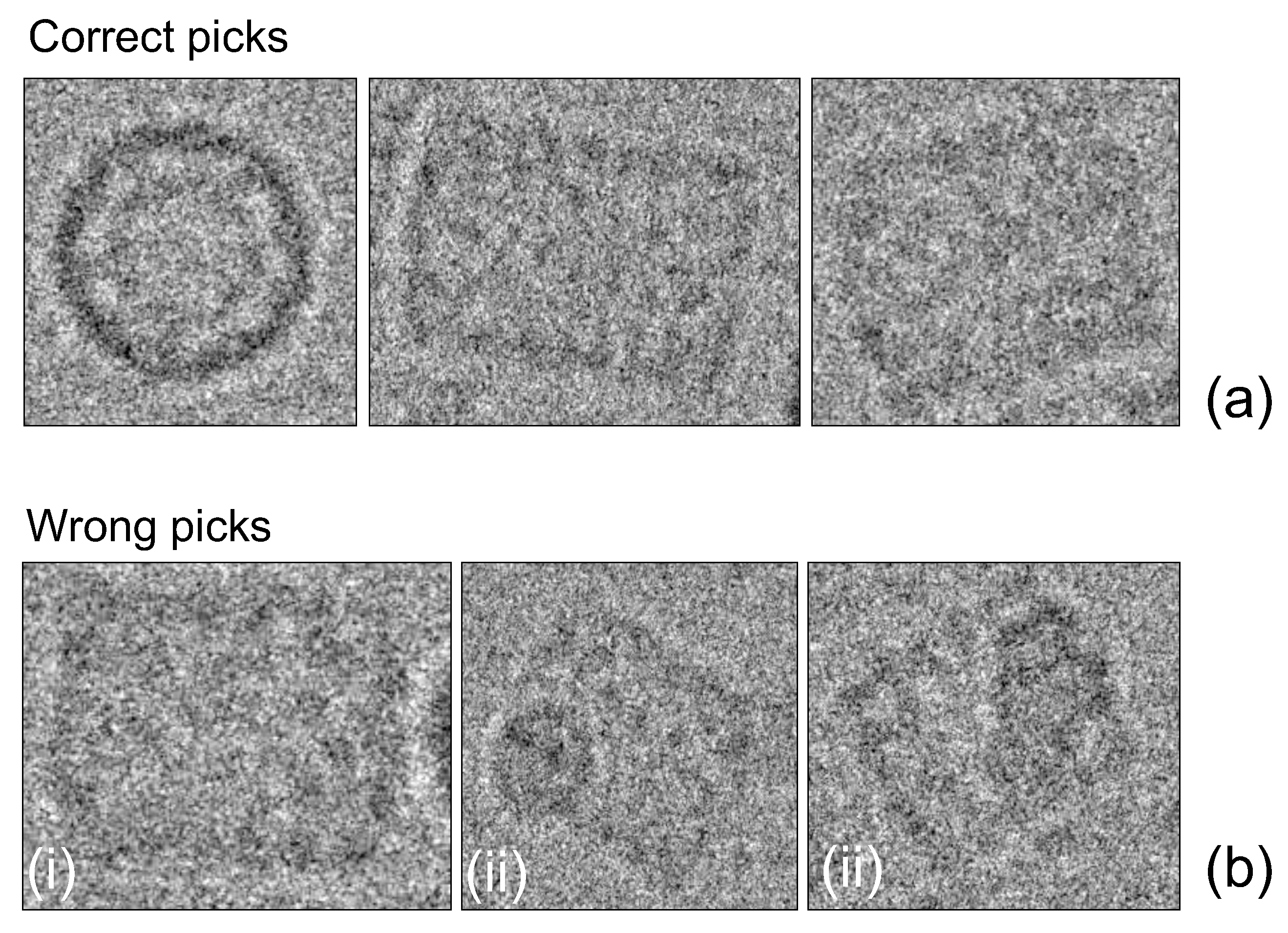 Biomolecules 09 00809 g010
