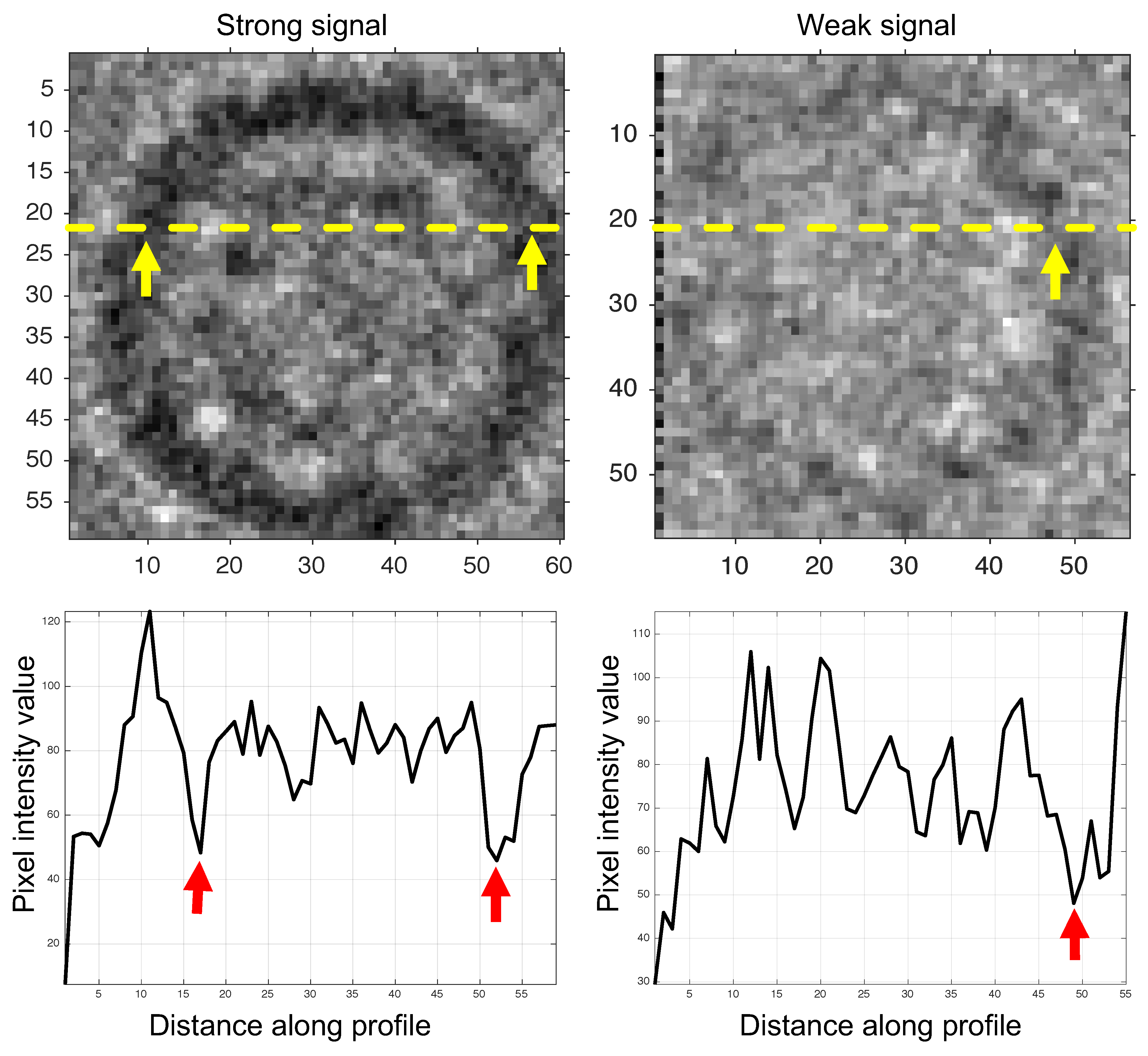 Biomolecules 09 00809 g011
