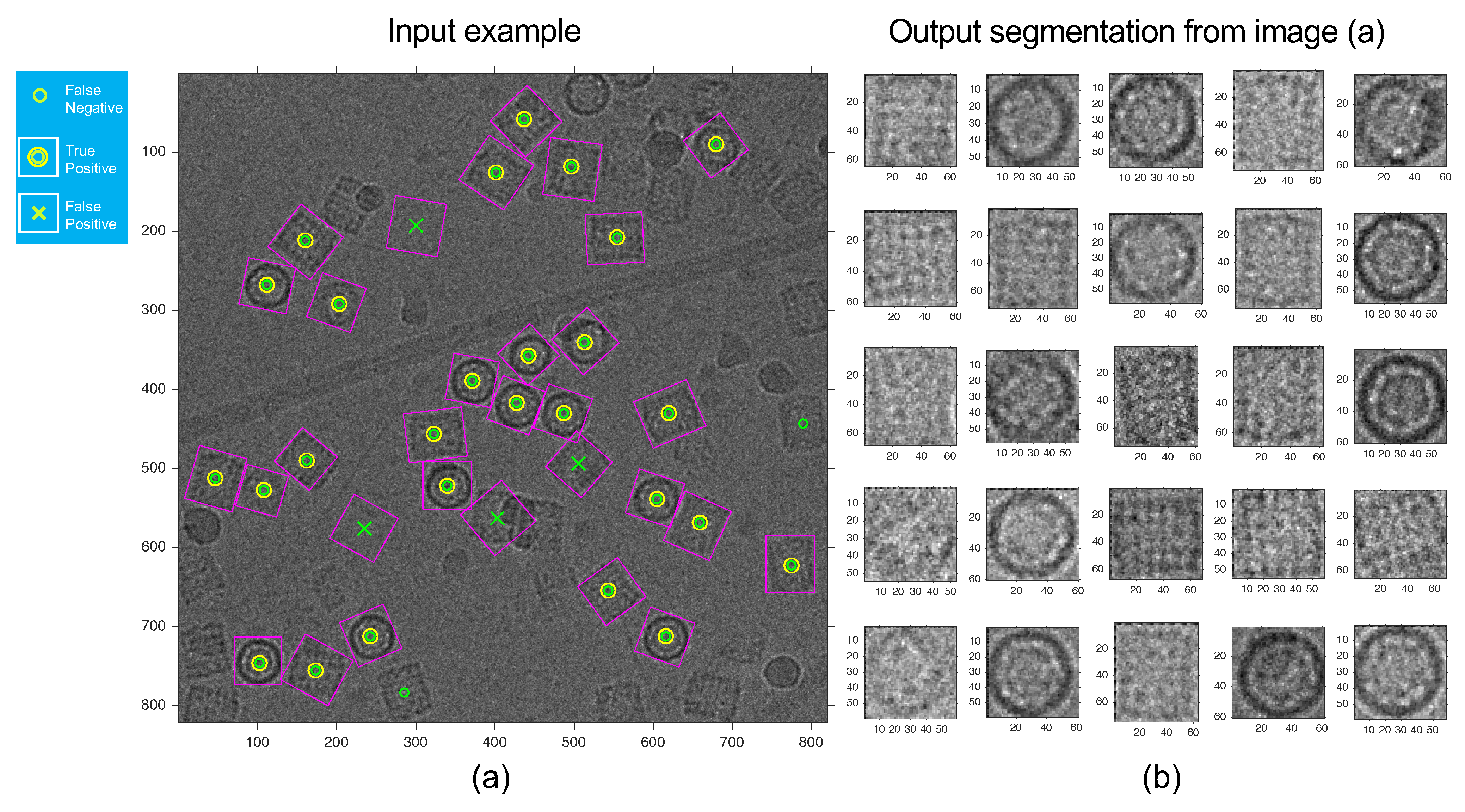 Biomolecules 09 00809 g012