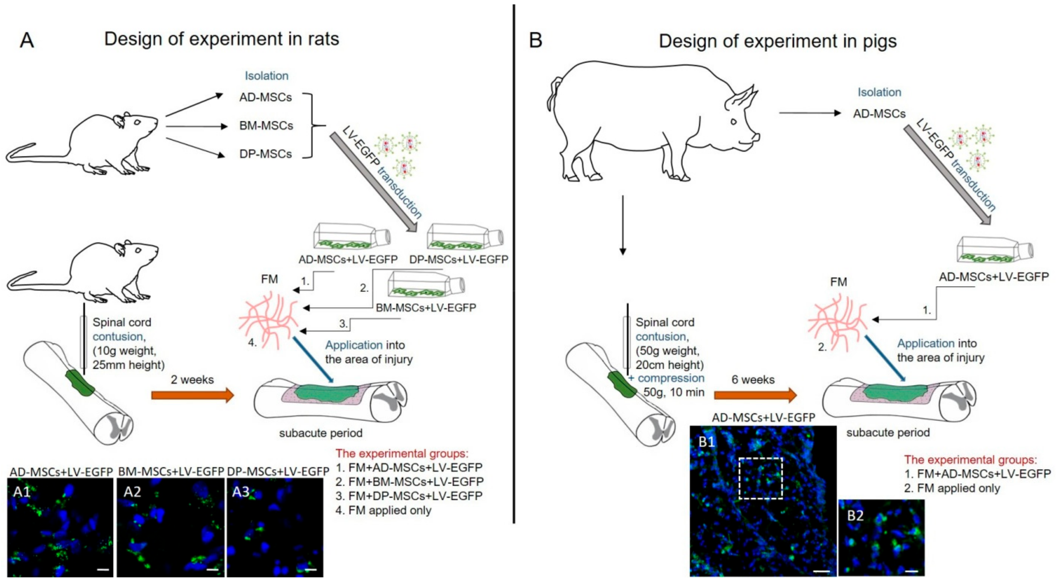 Biomolecules 09 00811 g001 Biomolecules 09 00811 g001