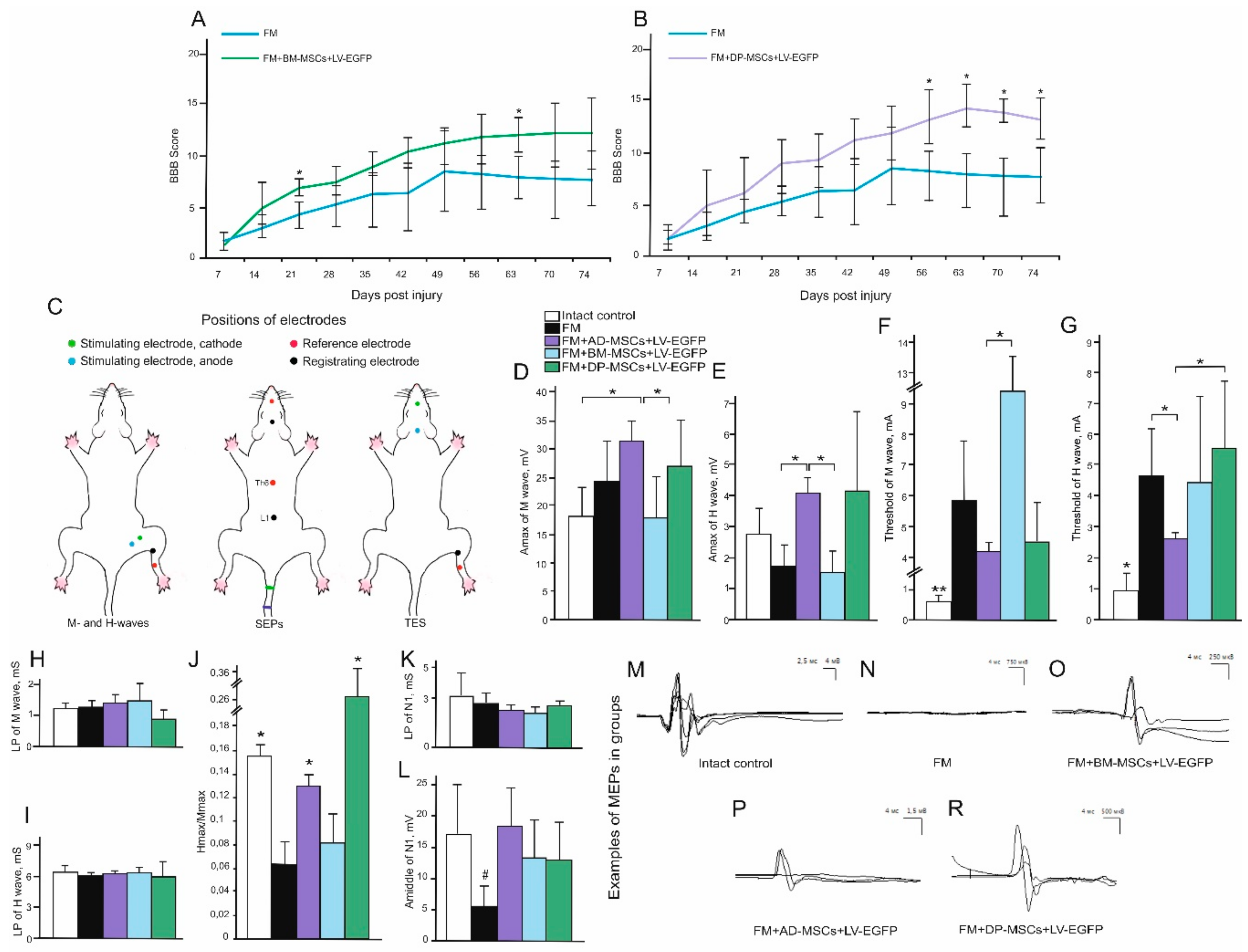 Biomolecules 09 00811 g003 Biomolecules 09 00811 g003