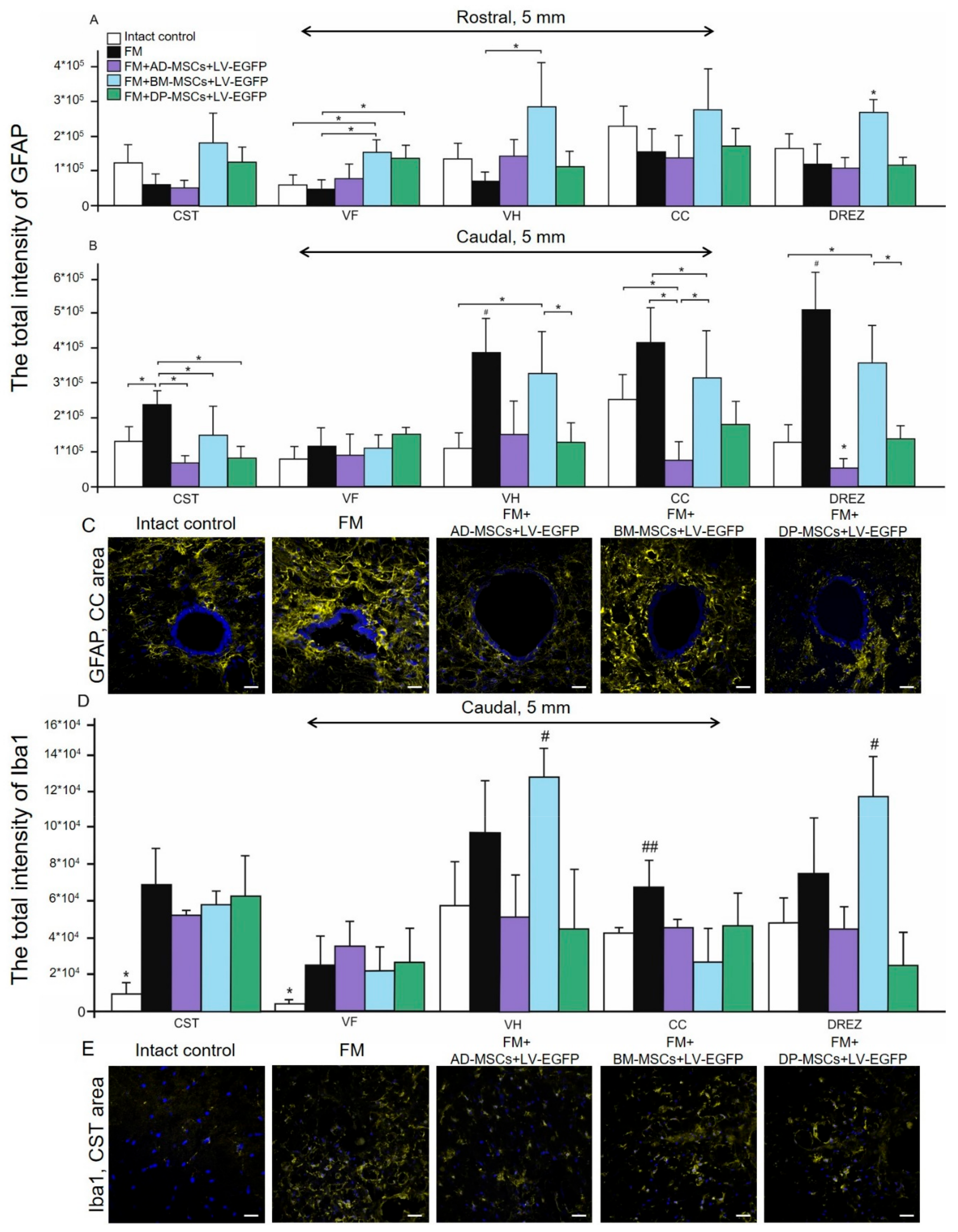 Biomolecules 09 00811 g005 Biomolecules 09 00811 g005