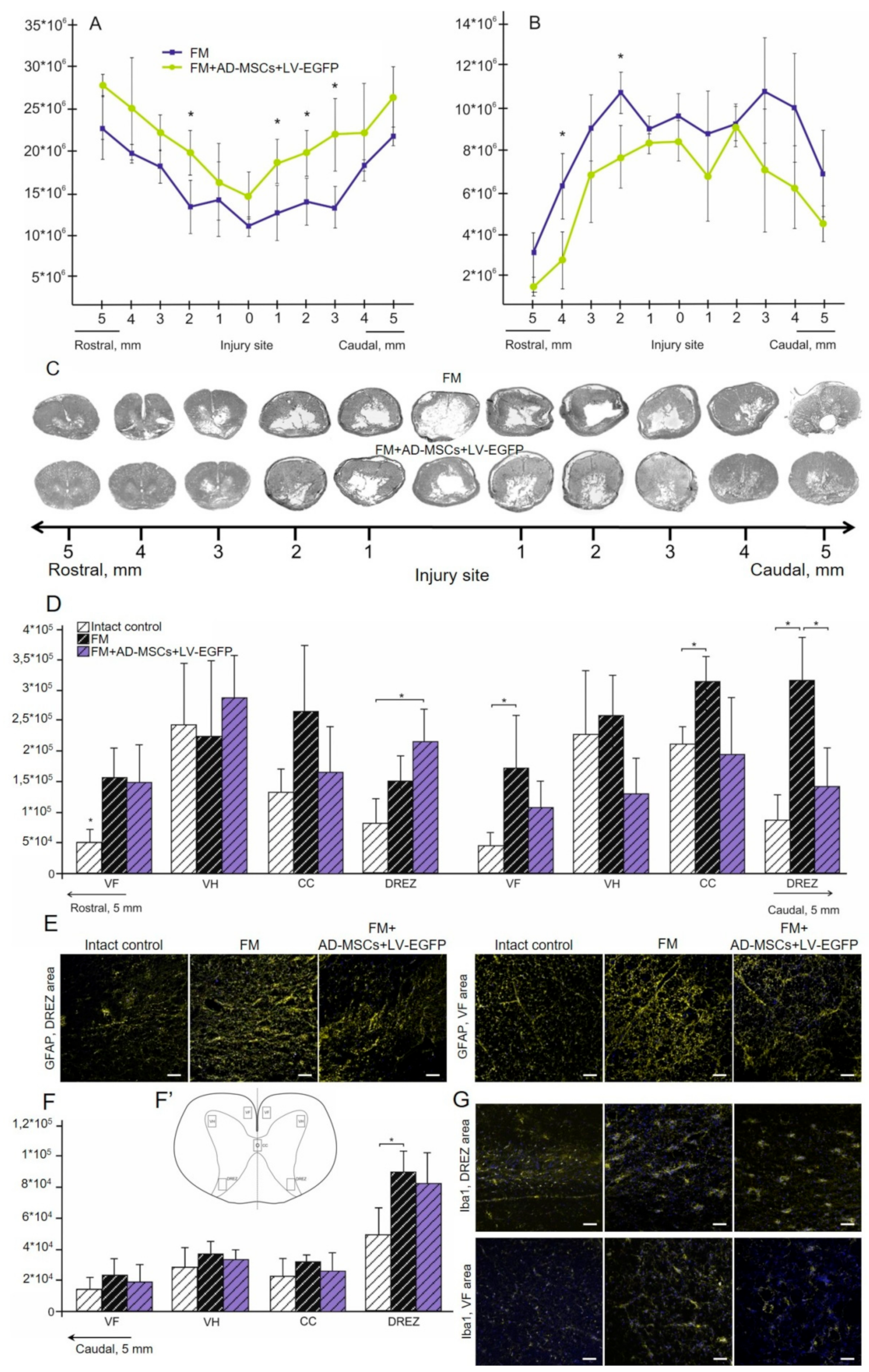 Biomolecules 09 00811 g008 Biomolecules 09 00811 g008