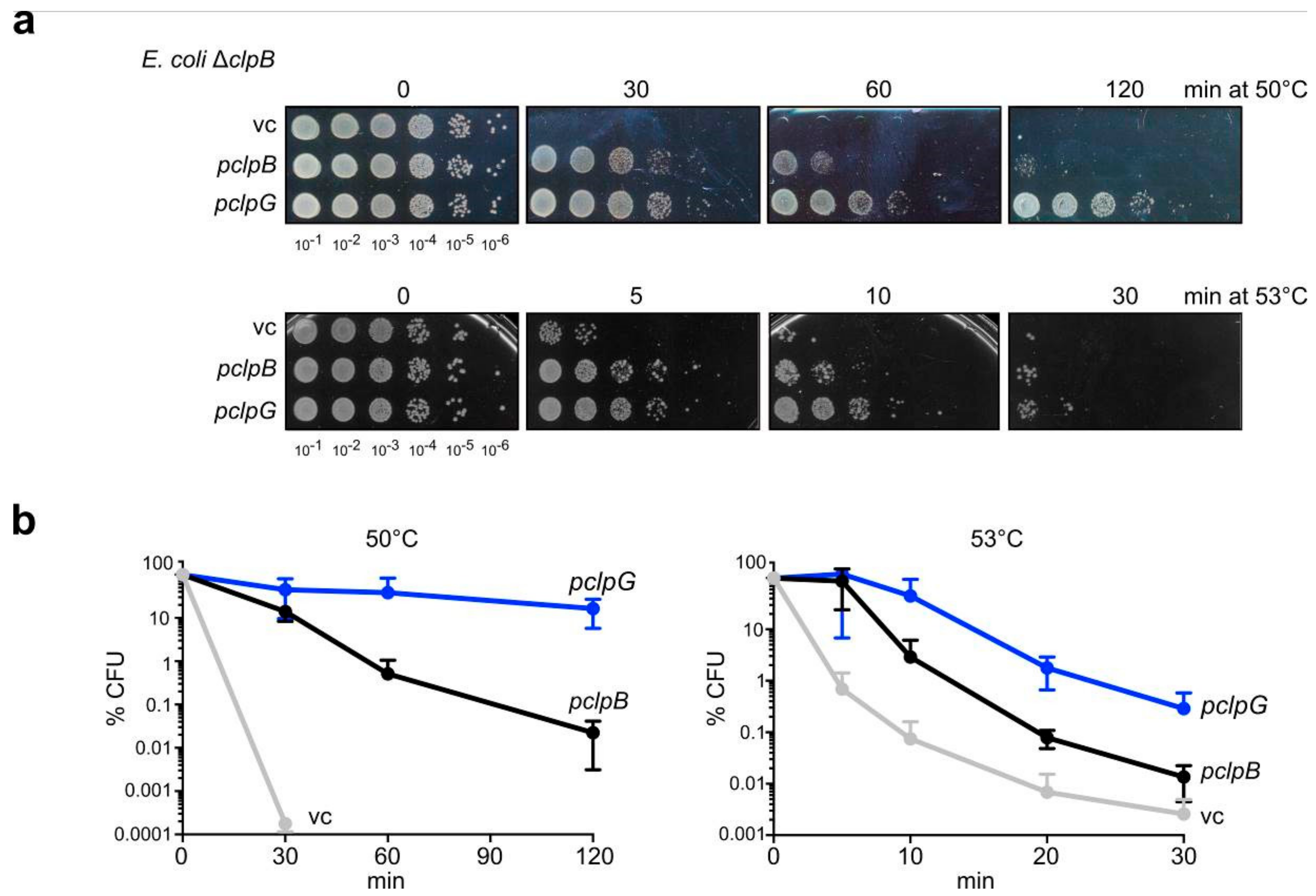 Biomolecules 09 00815 g001