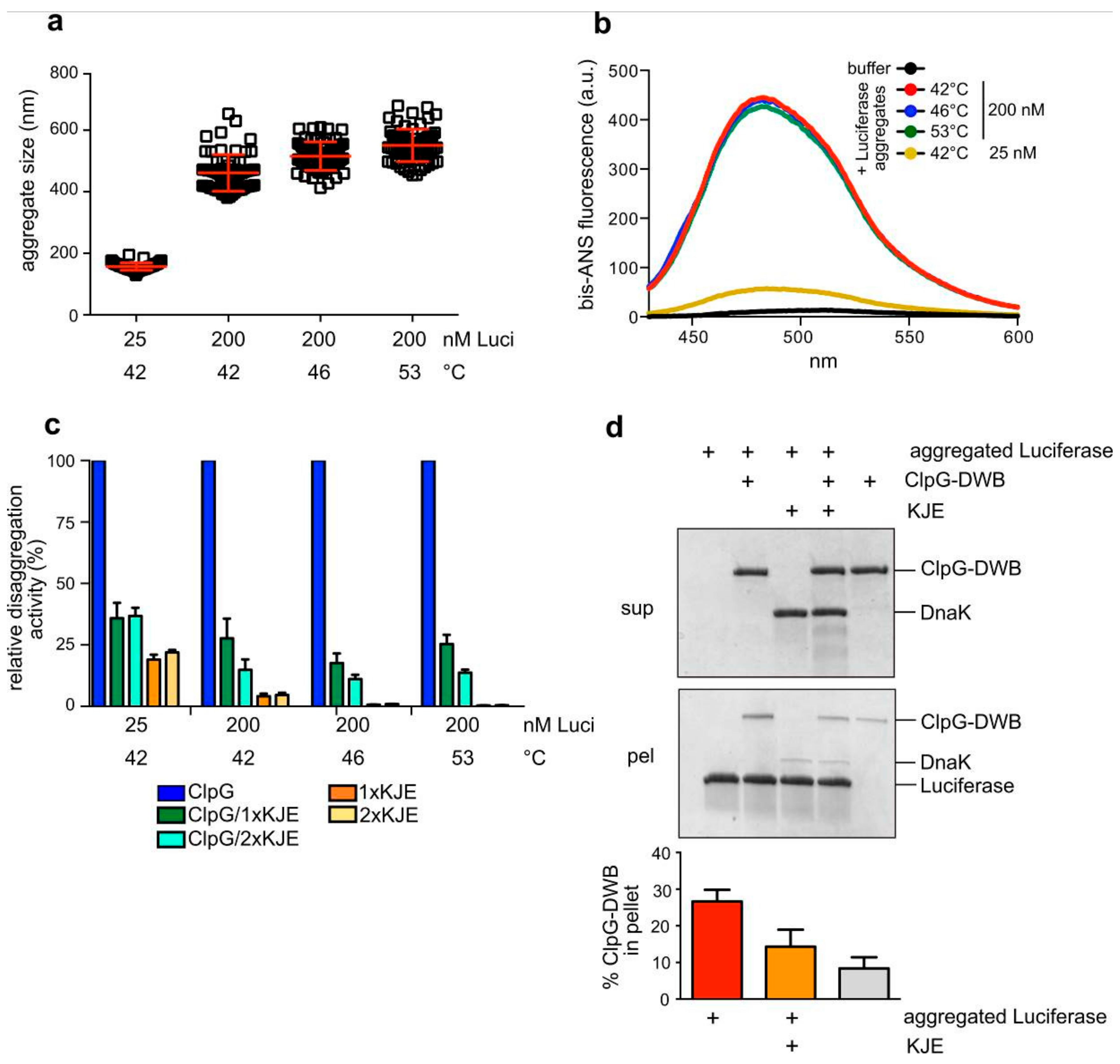 Biomolecules 09 00815 g006
