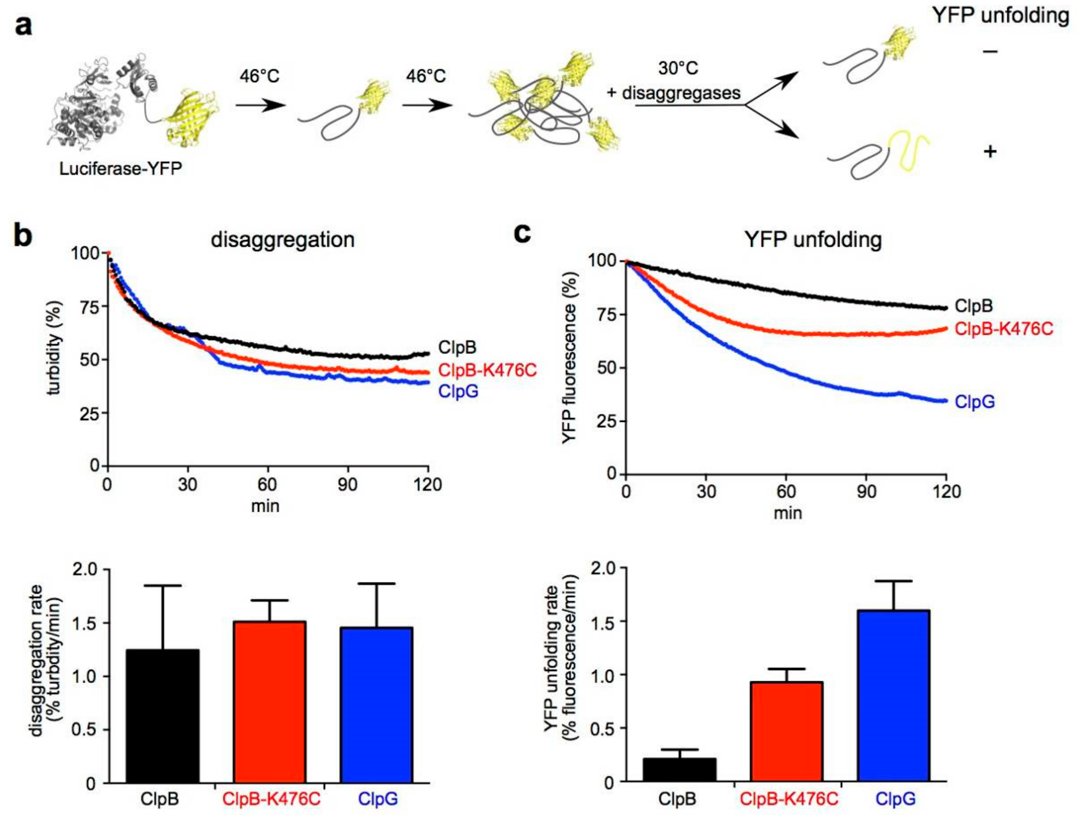 Biomolecules 09 00815 g007