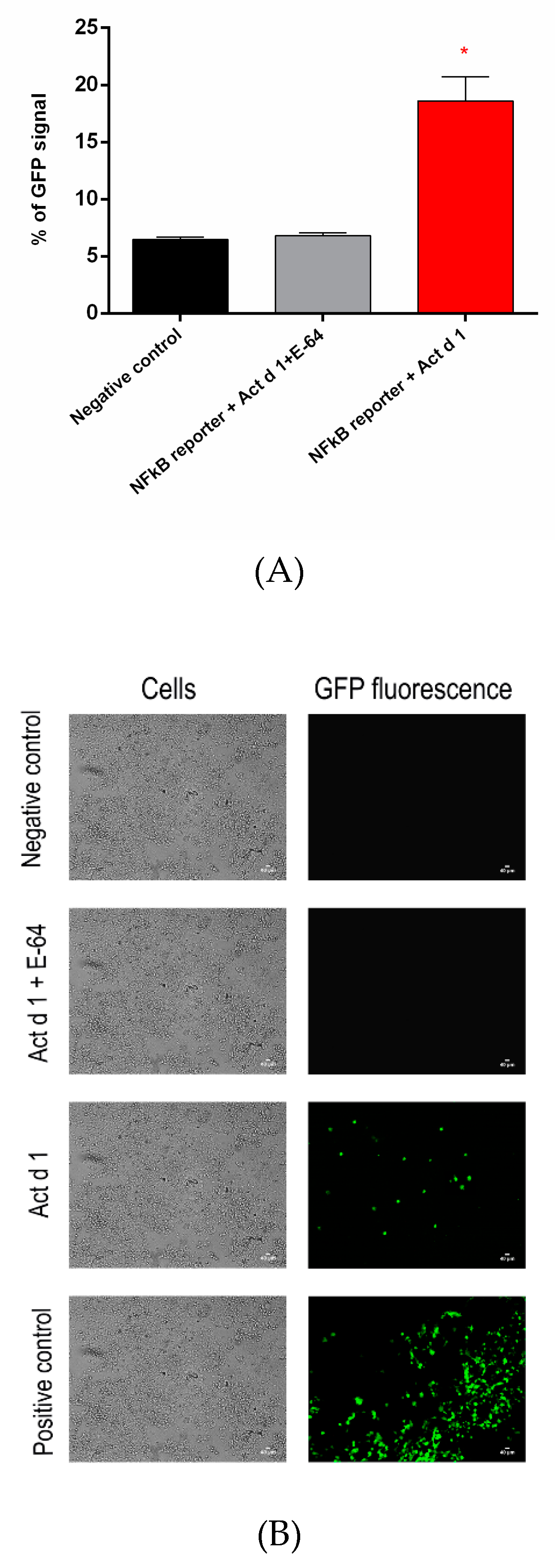 Biomolecules 09 00816 g006