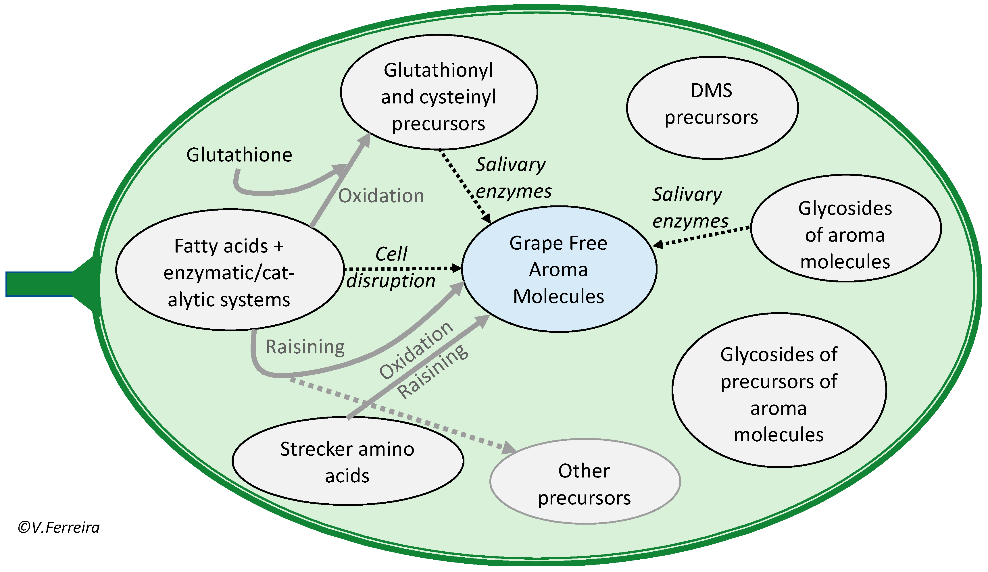 Biomolecules 09 00818 g002 Biomolecules 09 00818 g002
