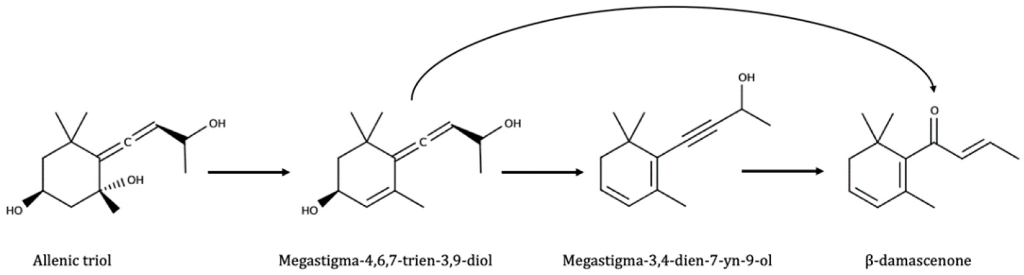 Biomolecules 09 00818 g006 Biomolecules 09 00818 g006