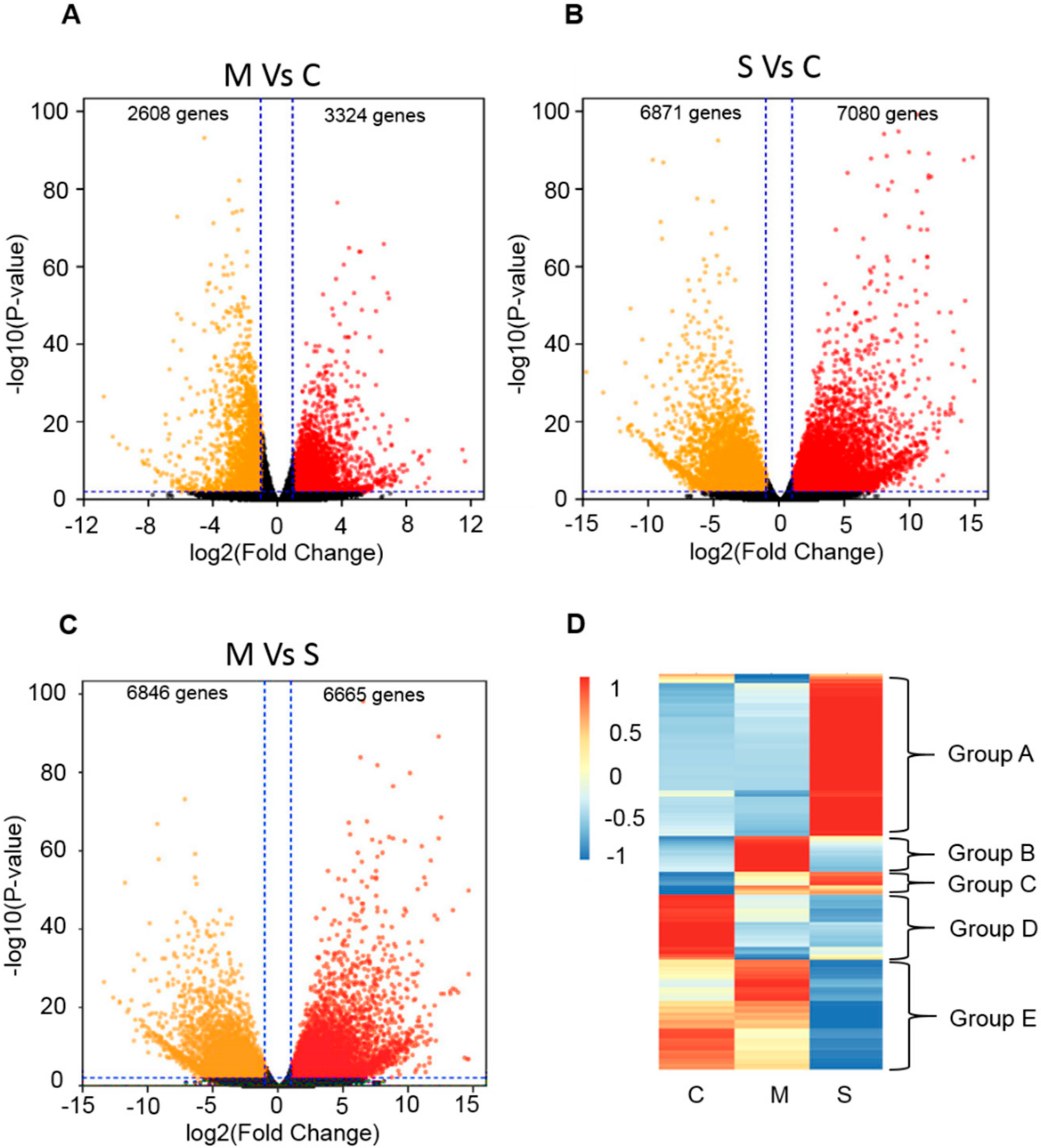 Biomolecules 09 00823 g001 Biomolecules 09 00823 g001