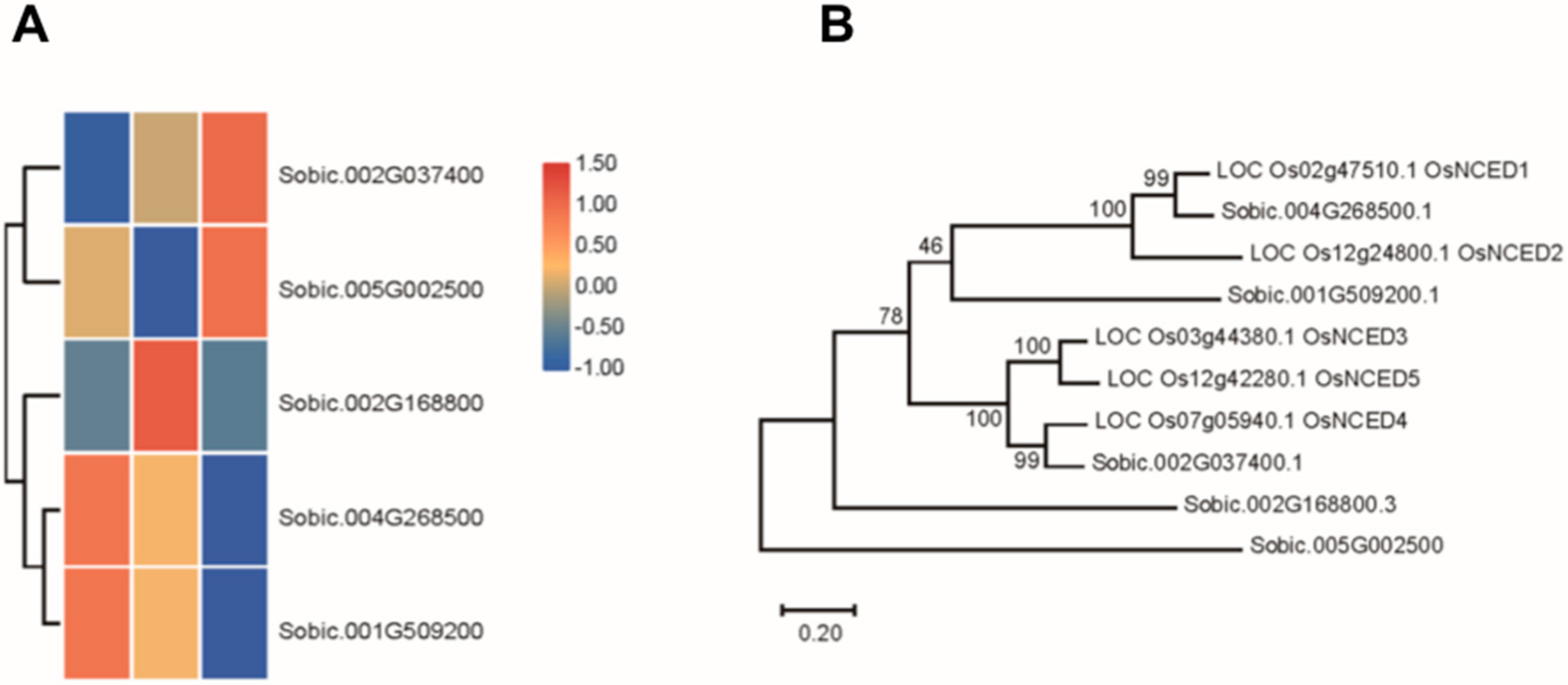 Biomolecules 09 00823 g002 Biomolecules 09 00823 g002