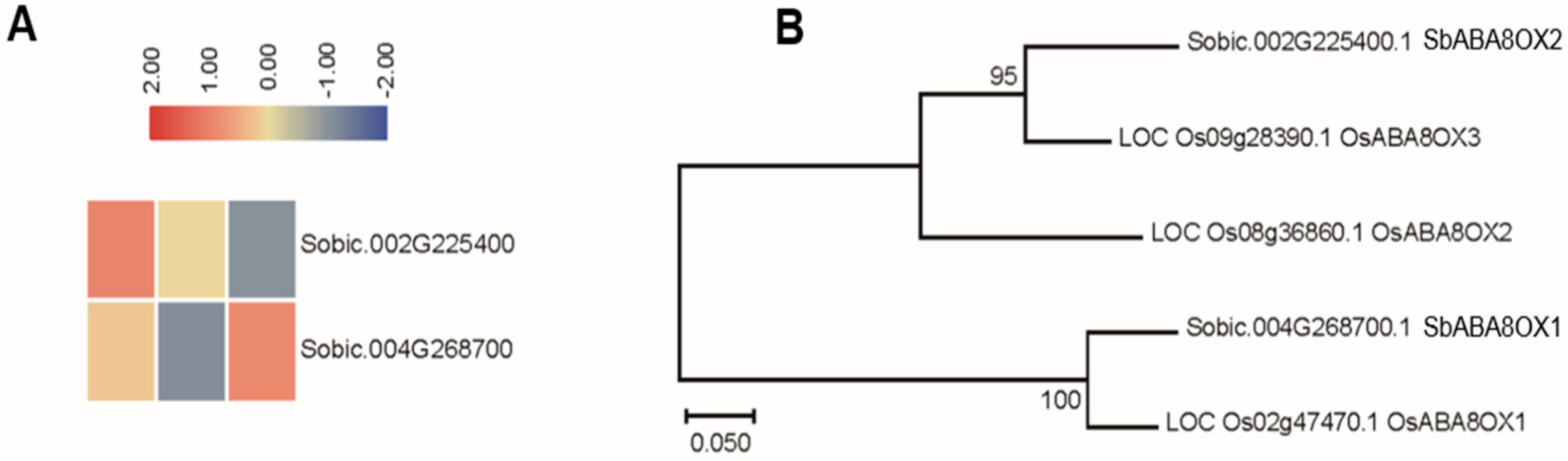 Biomolecules 09 00823 g003 Biomolecules 09 00823 g003