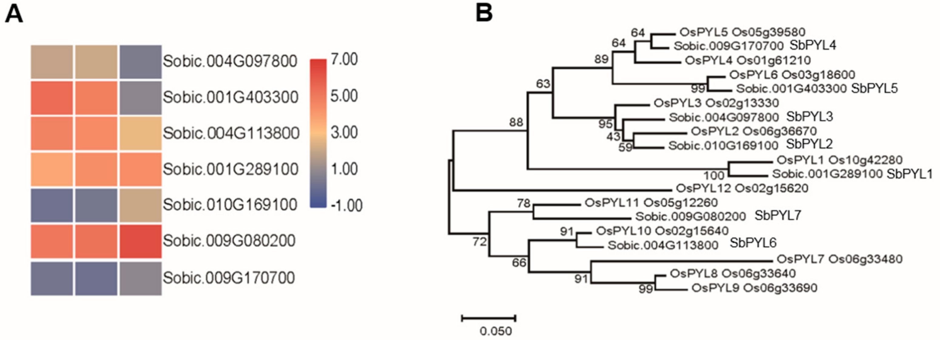 Biomolecules 09 00823 g004 Biomolecules 09 00823 g004