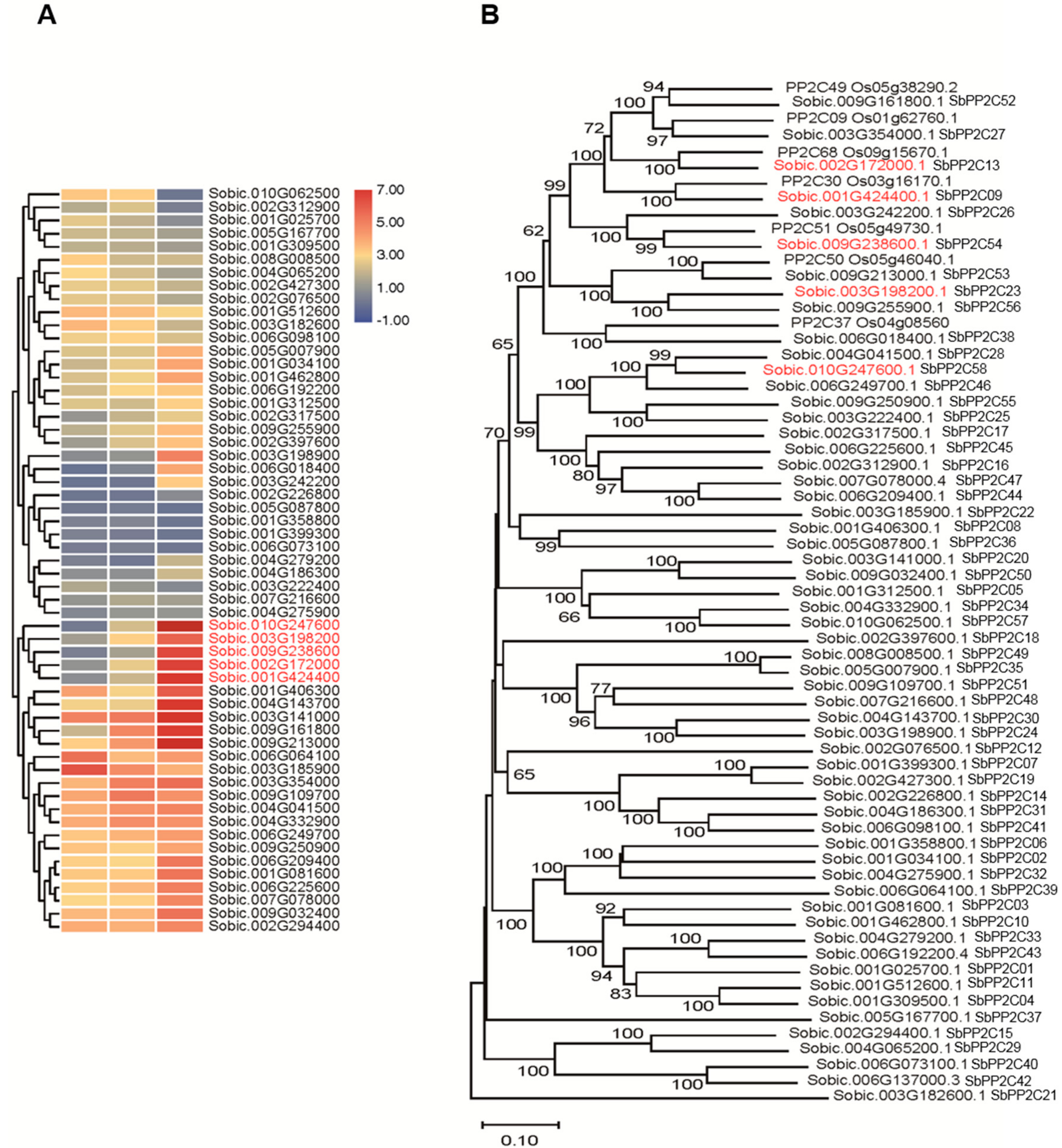 Biomolecules 09 00823 g005 Biomolecules 09 00823 g005
