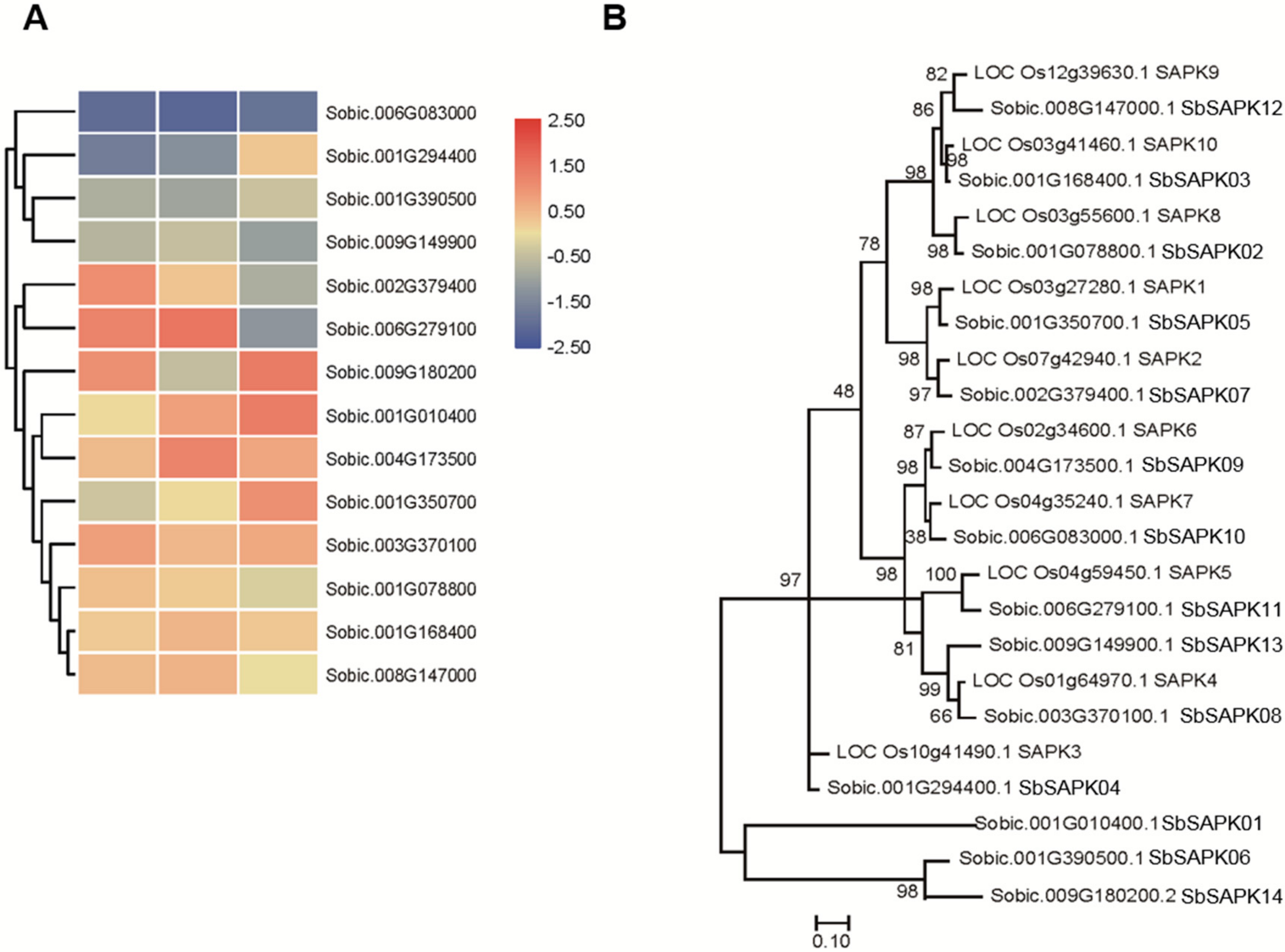 Biomolecules 09 00823 g006 Biomolecules 09 00823 g006