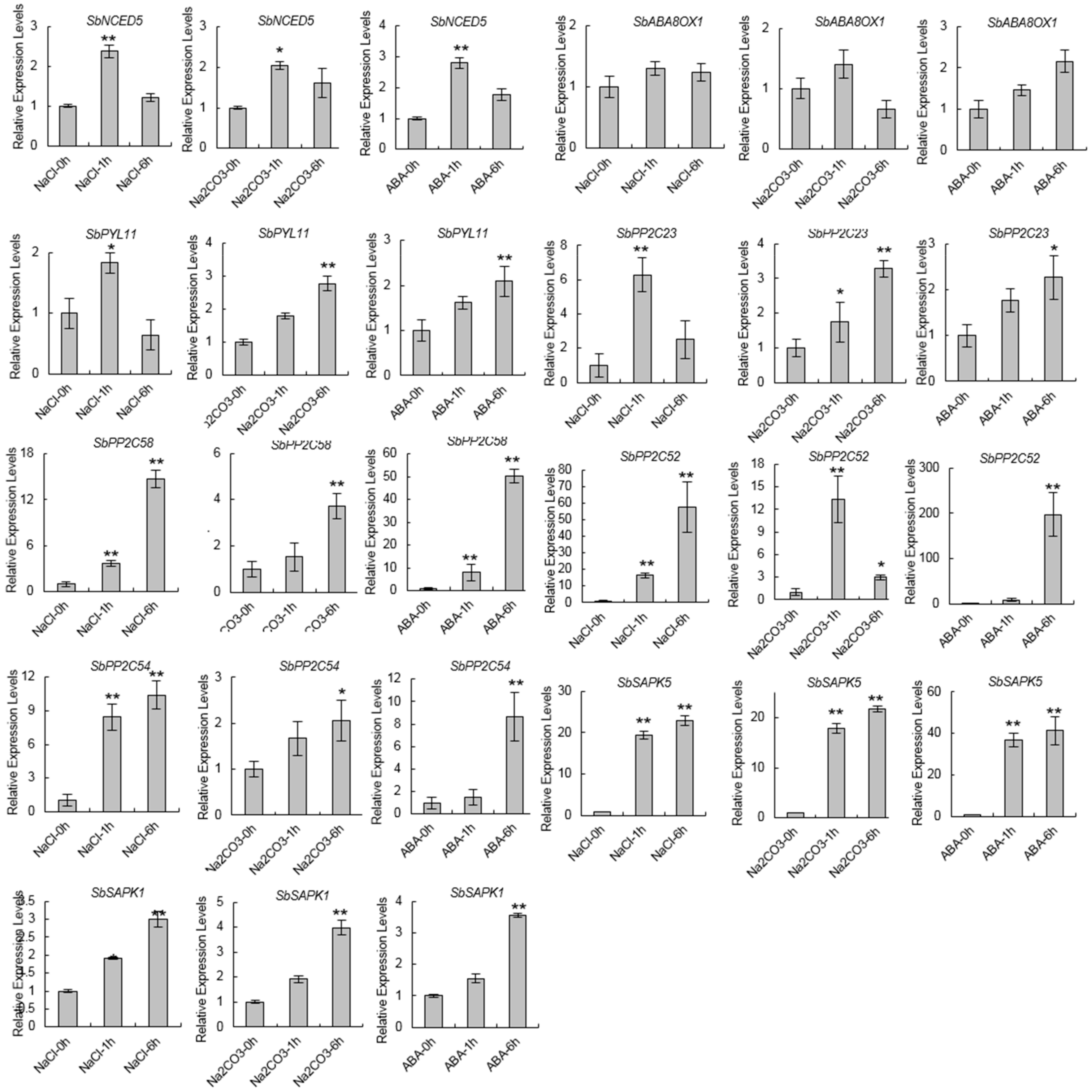 Biomolecules 09 00823 g007 Biomolecules 09 00823 g007