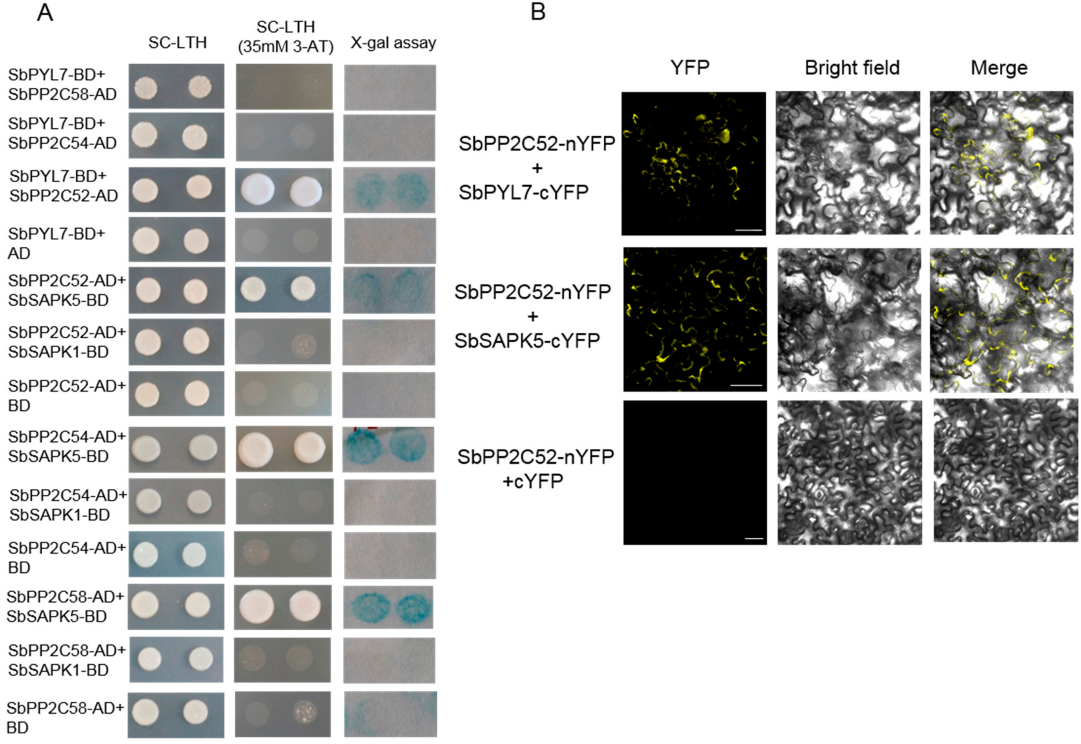 Biomolecules 09 00823 g008 Biomolecules 09 00823 g008
