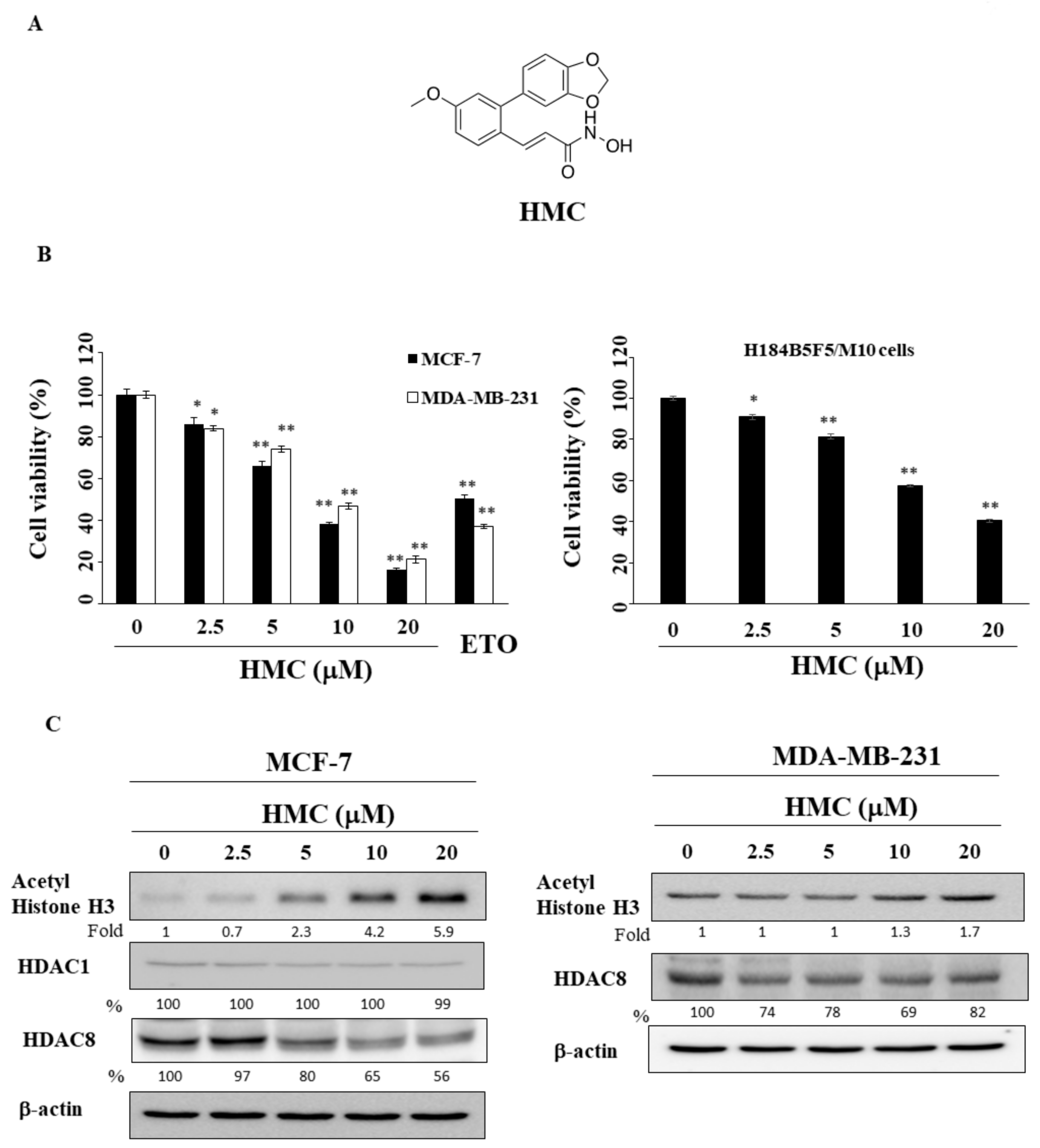 Biomolecules 09 00824 g001 Biomolecules 09 00824 g001