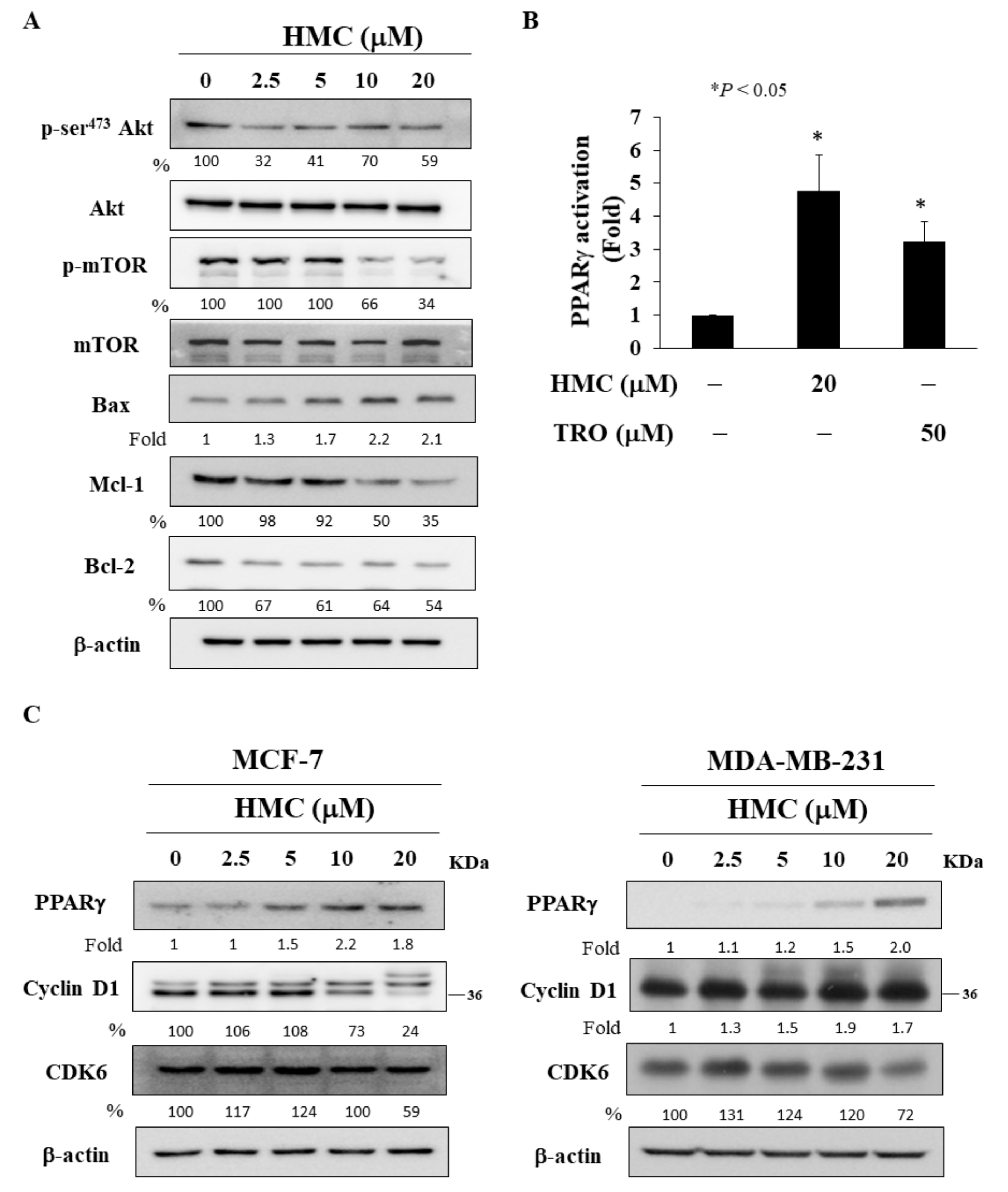 Biomolecules 09 00824 g003 Biomolecules 09 00824 g003