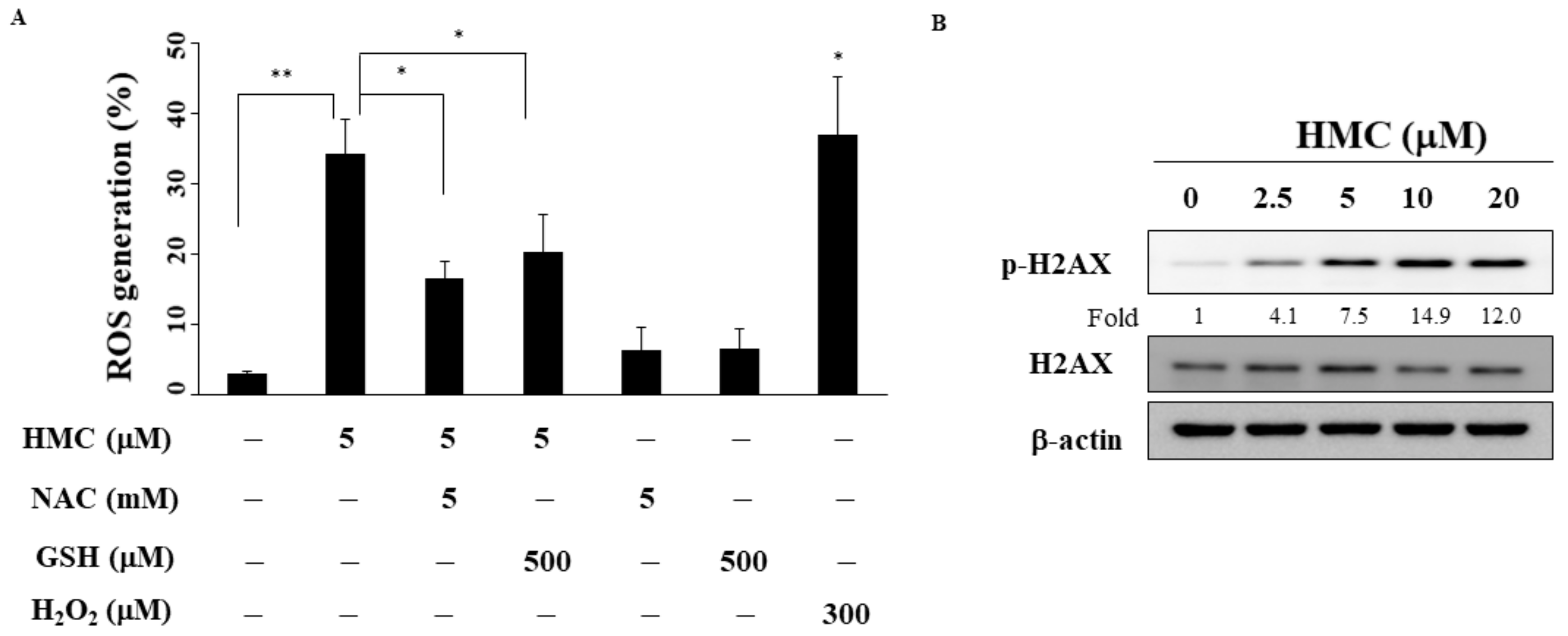 Biomolecules 09 00824 g004 Biomolecules 09 00824 g004