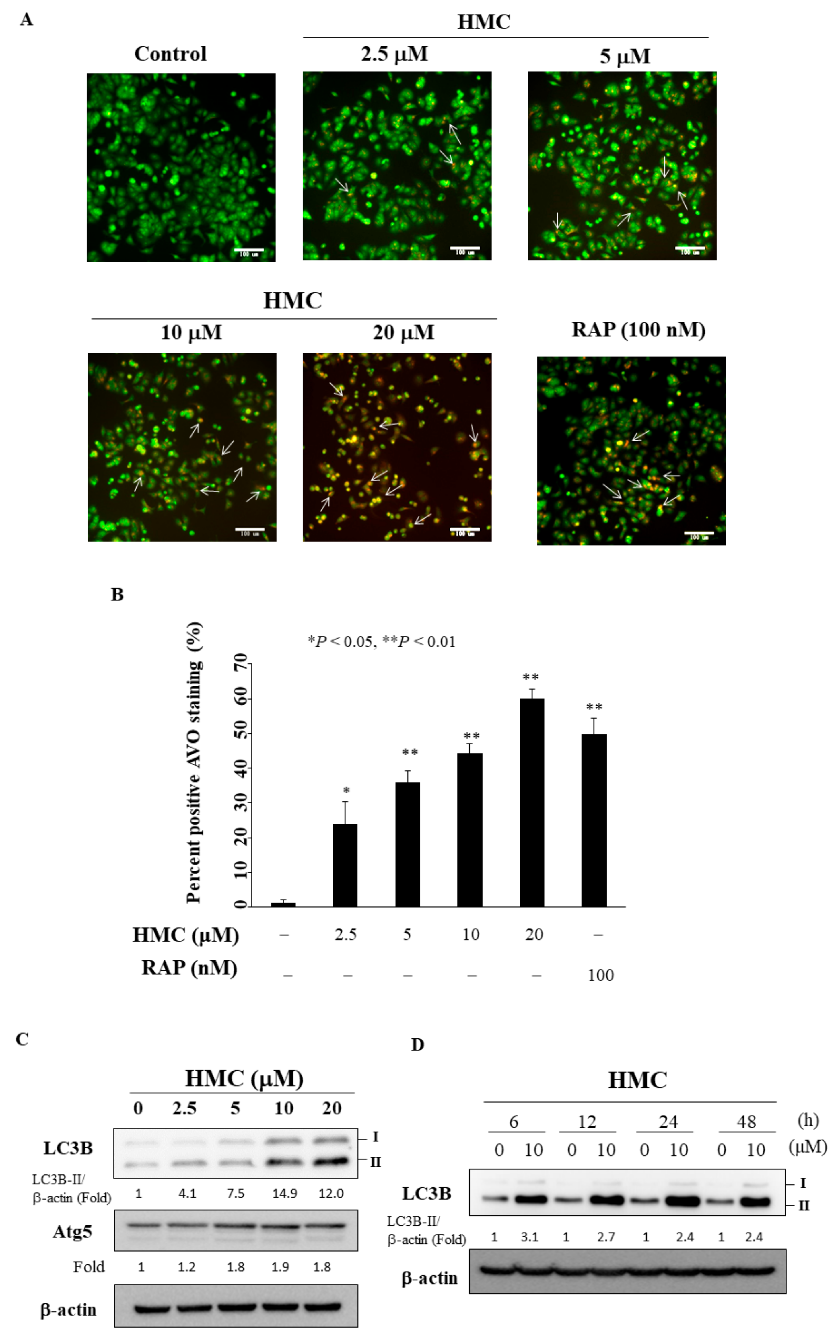 Biomolecules 09 00824 g005 Biomolecules 09 00824 g005