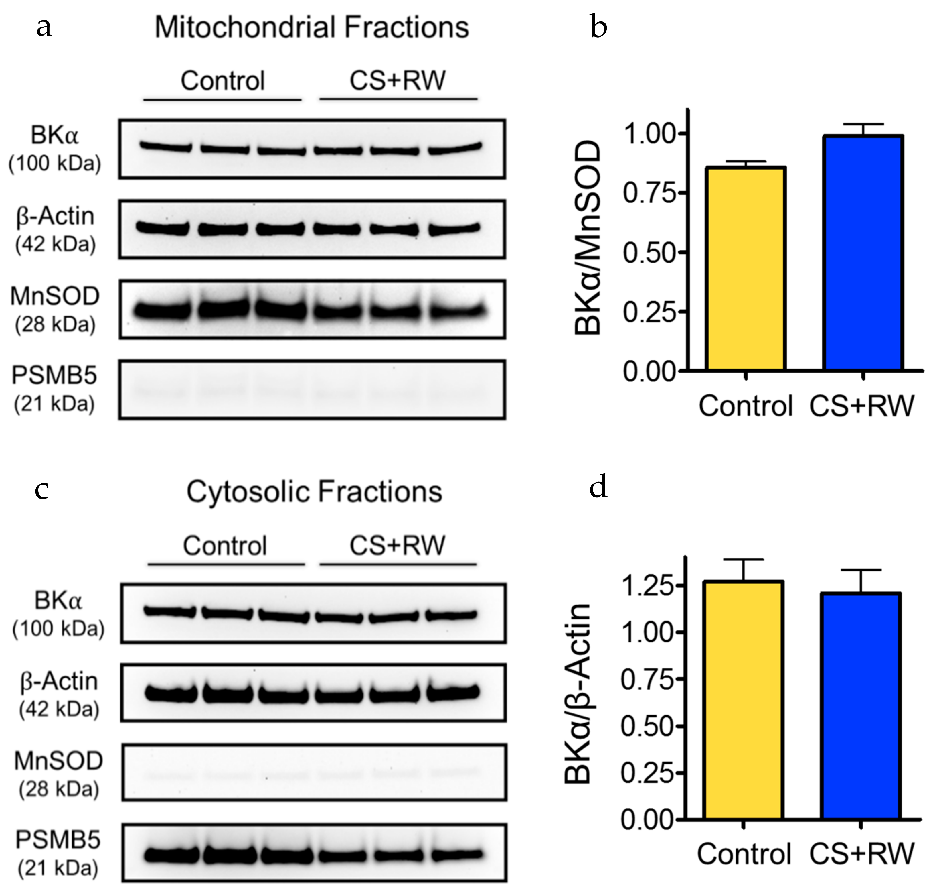 Biomolecules 09 00825 g001