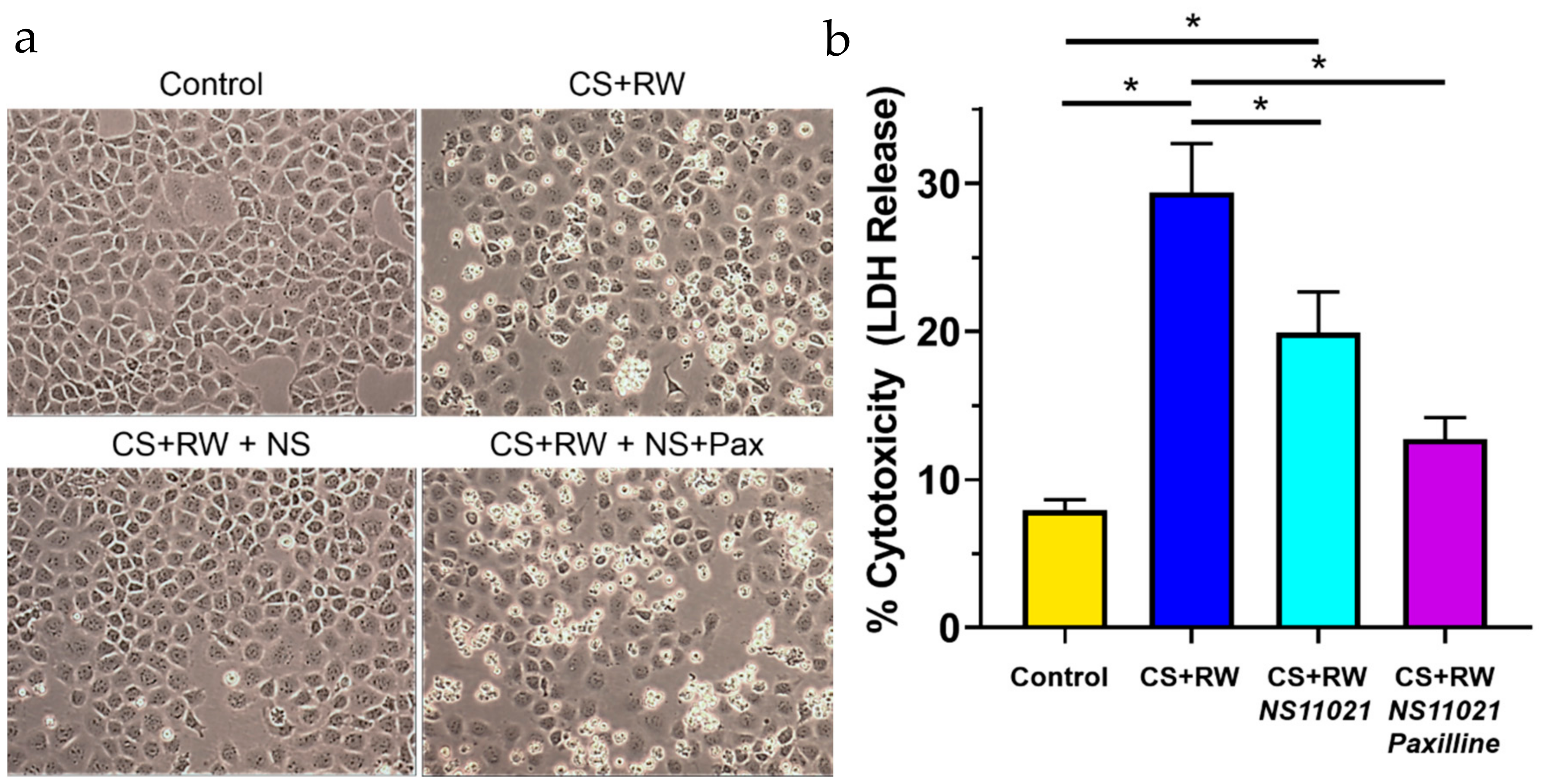Biomolecules 09 00825 g007