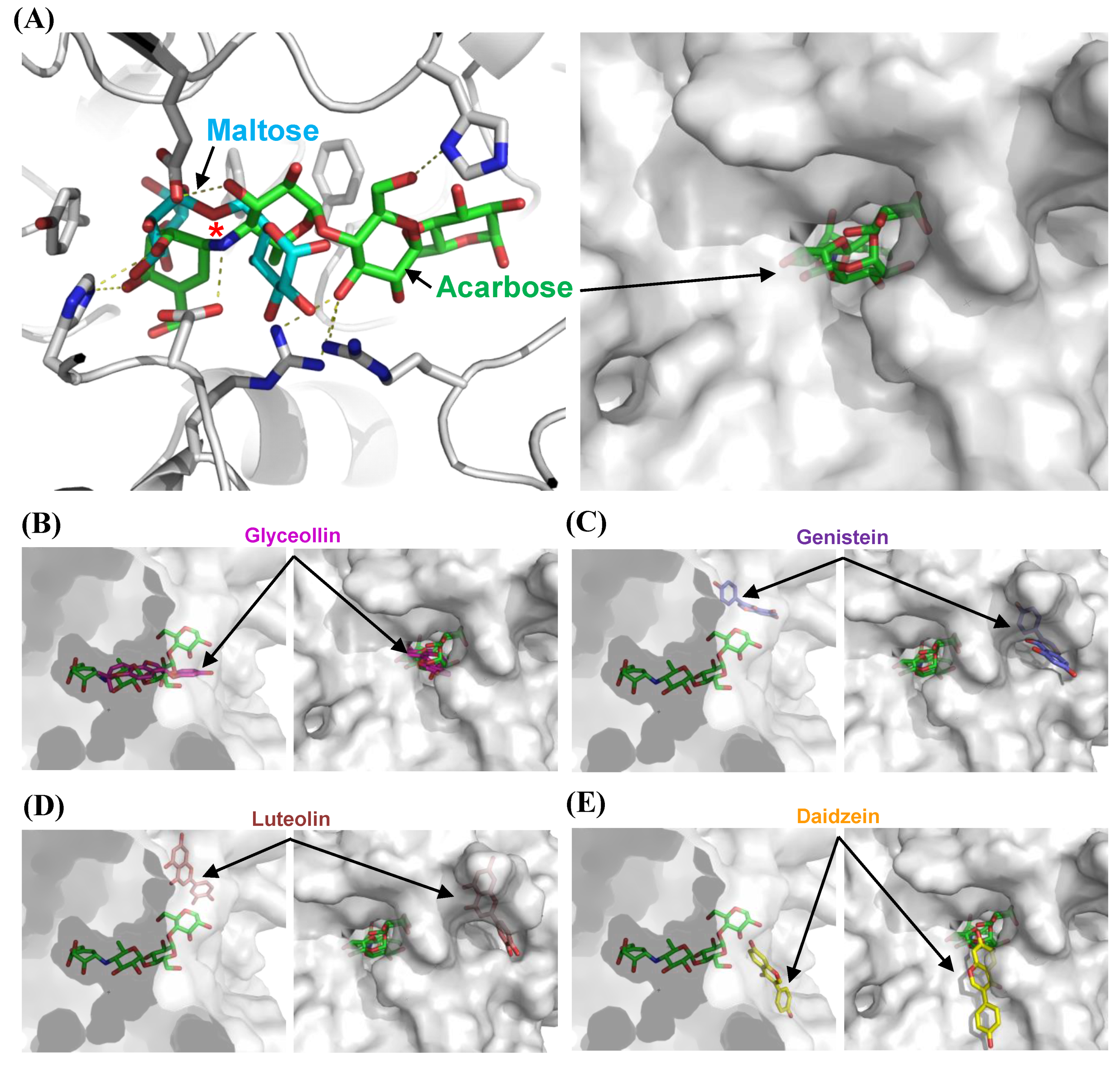 Biomolecules 09 00828 g004