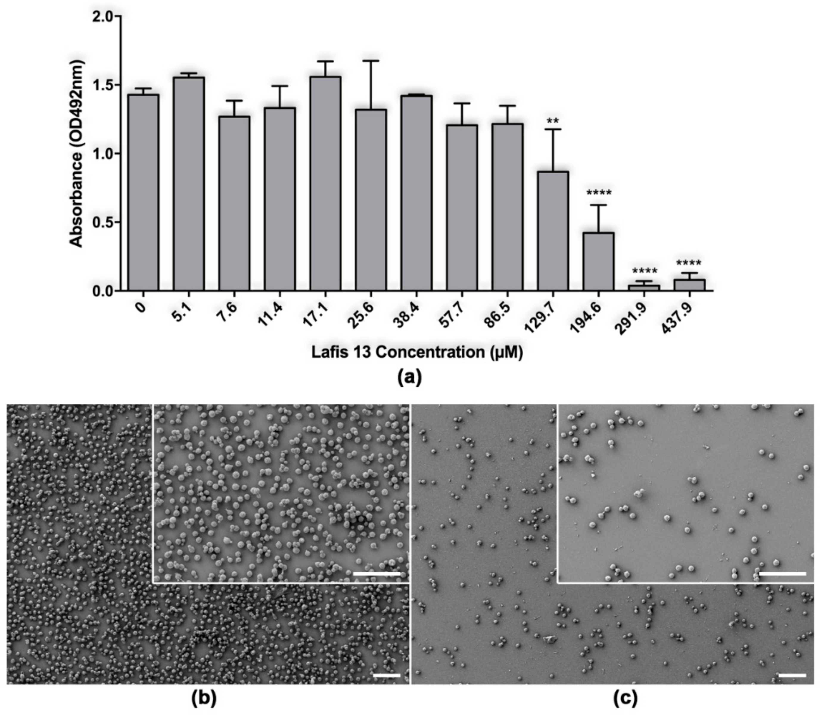 Biomolecules 09 00831 g002 Biomolecules 09 00831 g002