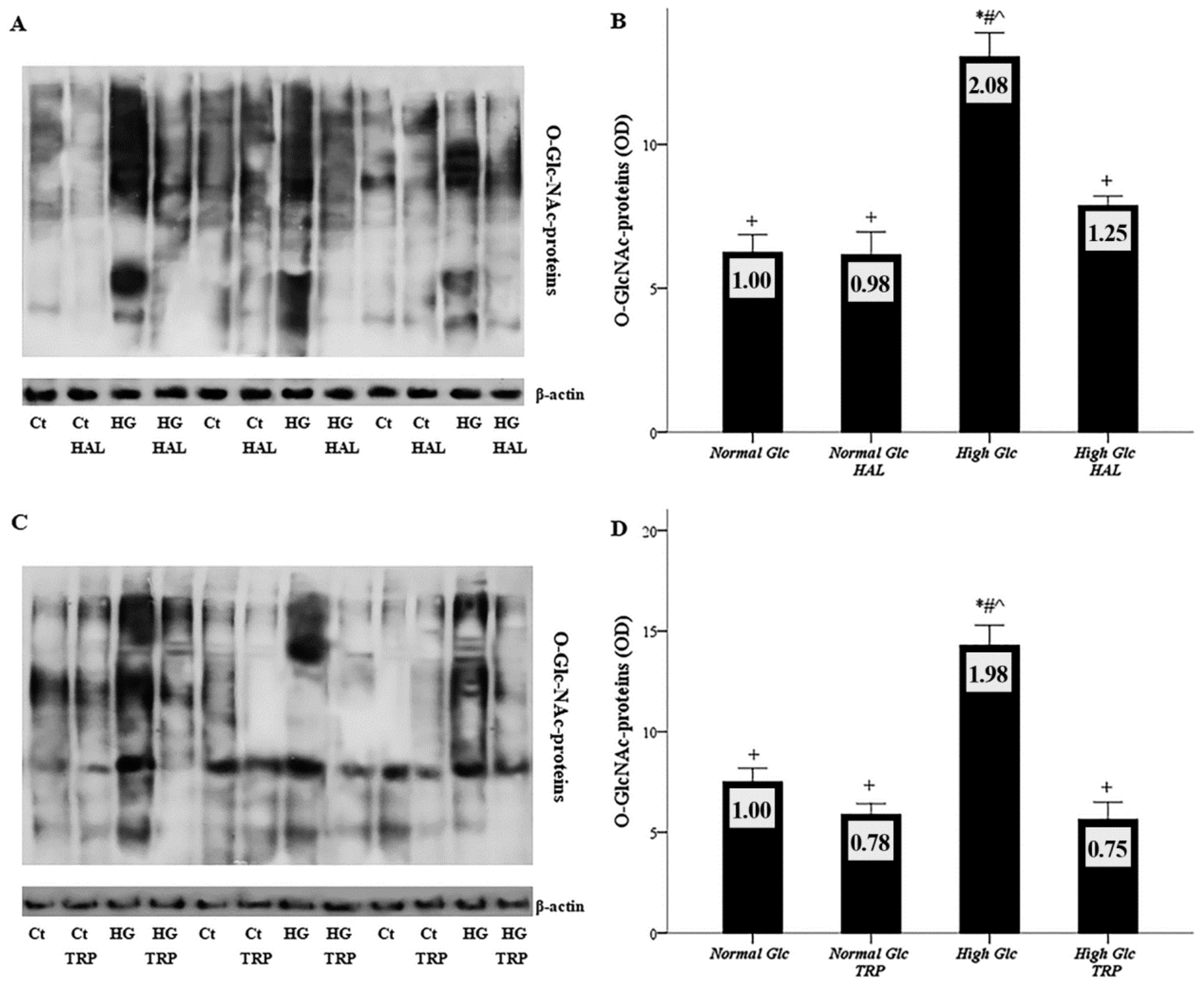 Biomolecules 09 00832 g005