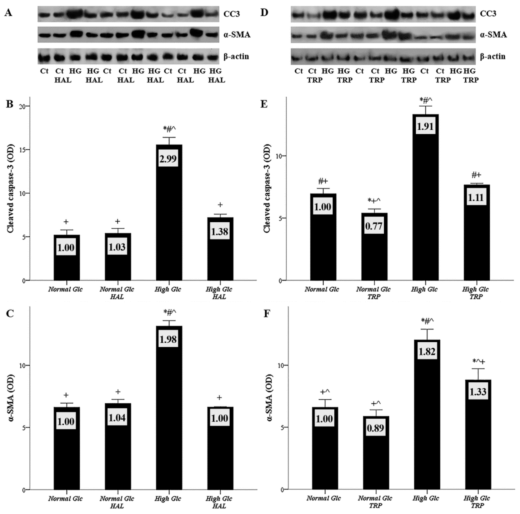 Biomolecules 09 00832 g007
