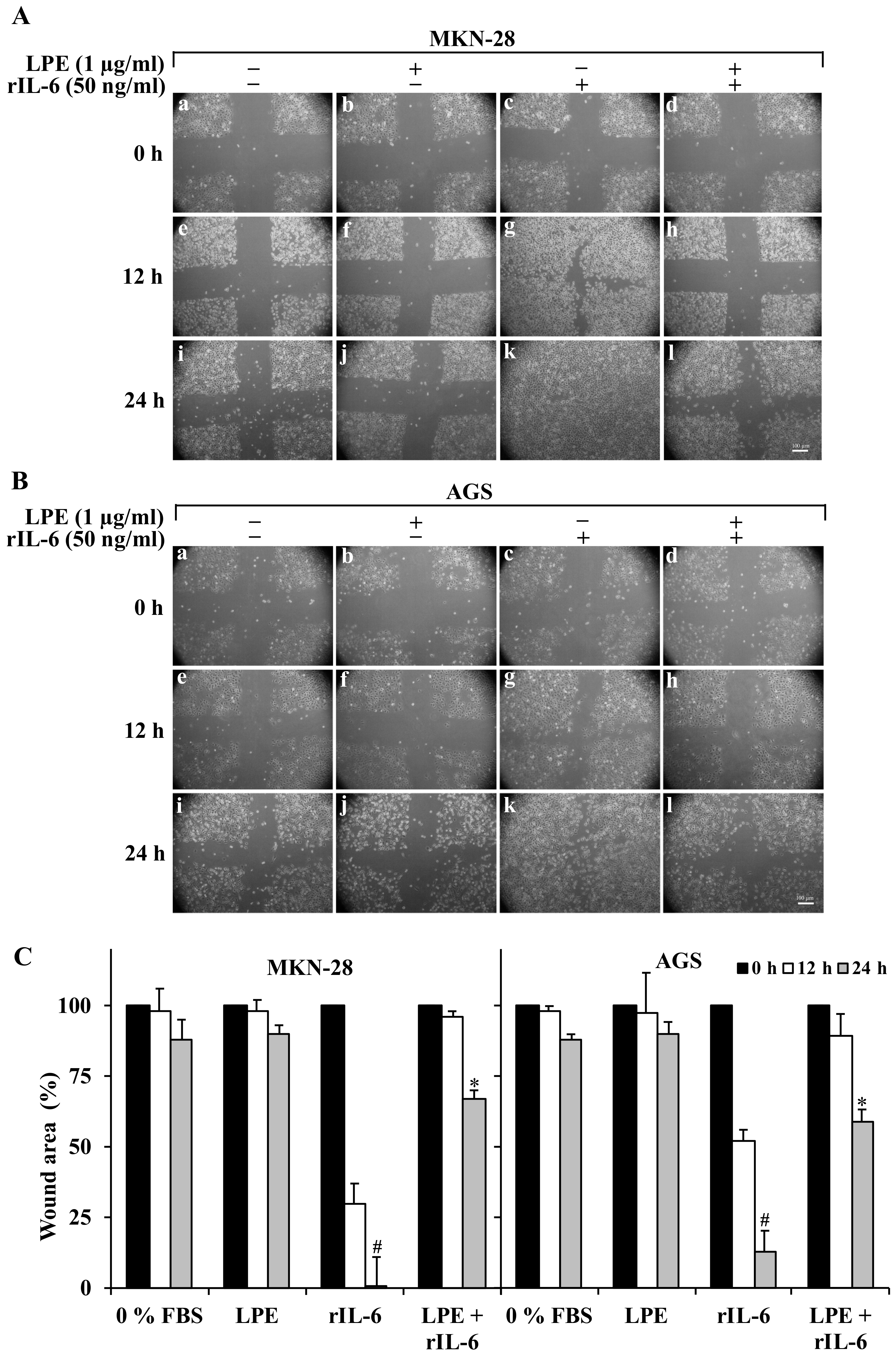 Biomolecules 09 00833 g002