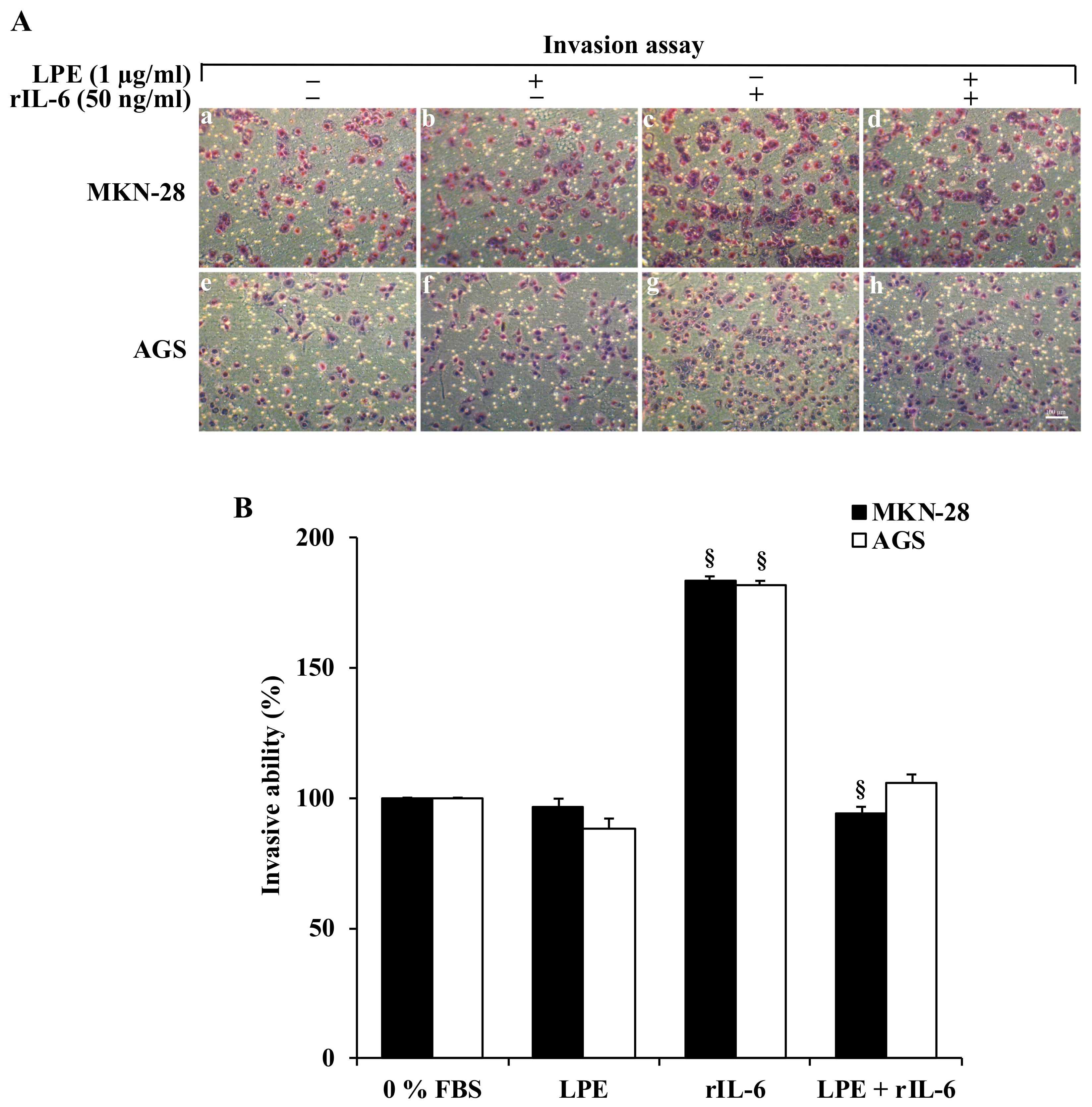 Biomolecules 09 00833 g003