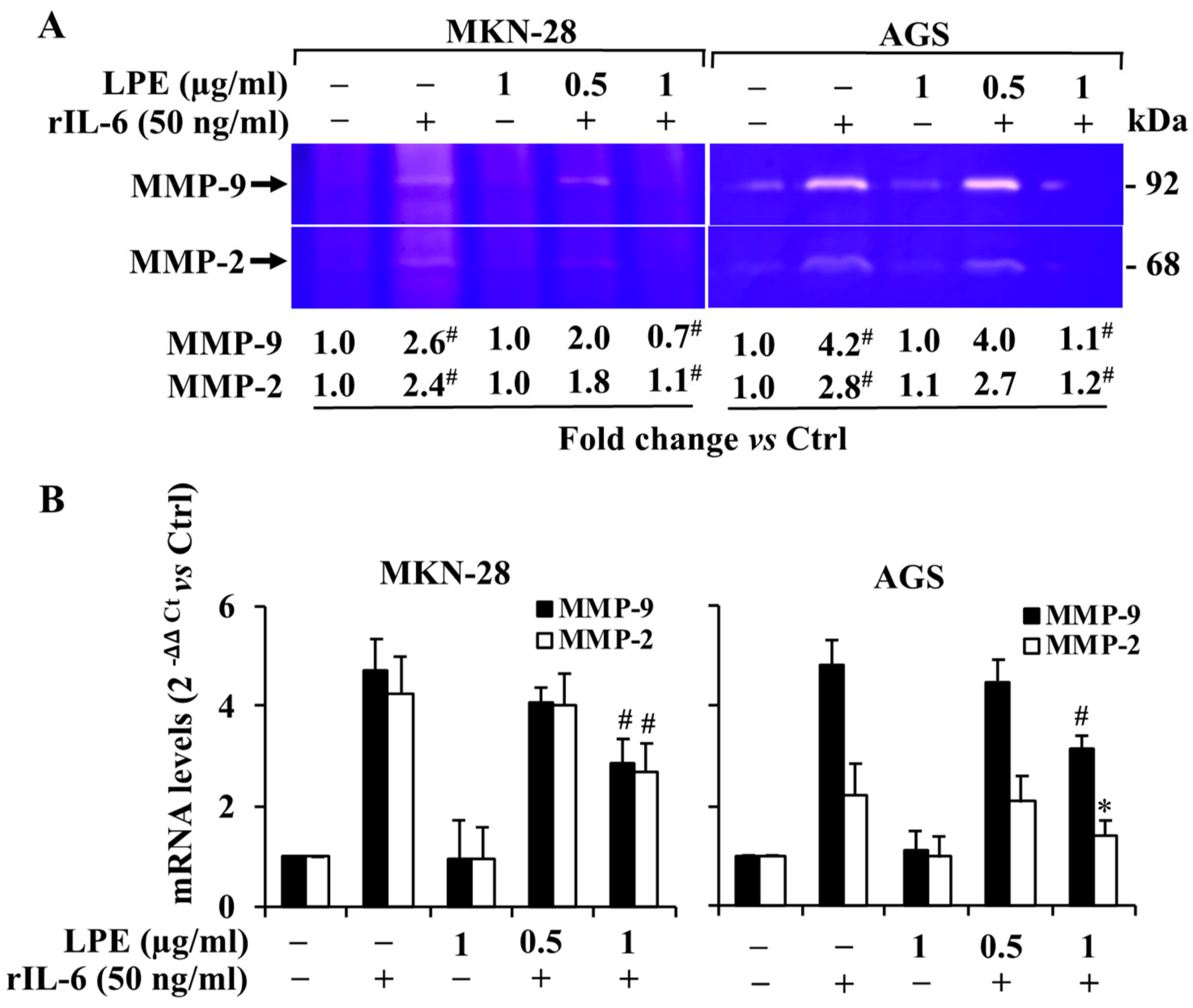Biomolecules 09 00833 g004