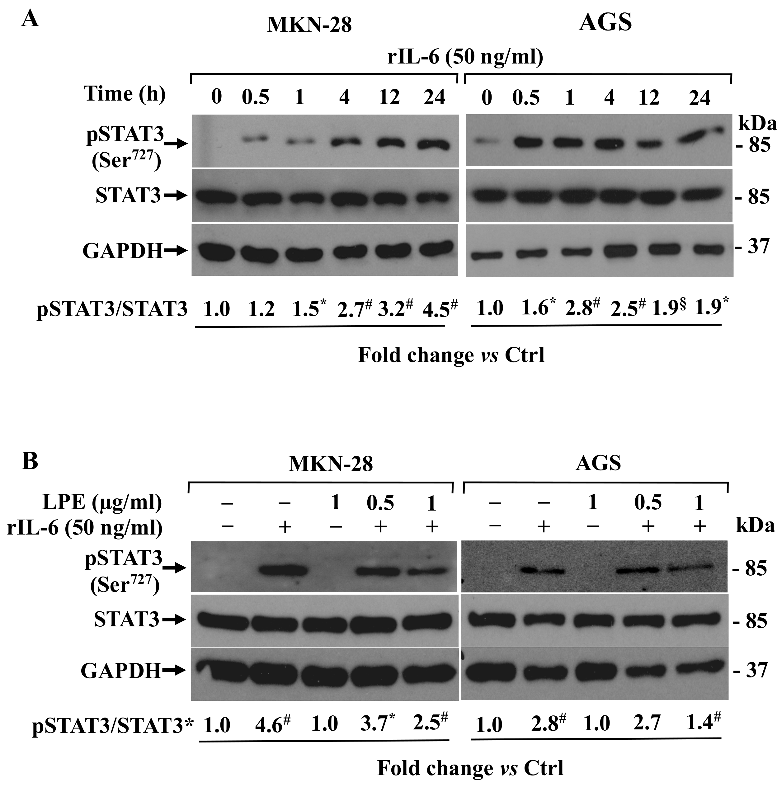 Biomolecules 09 00833 g005