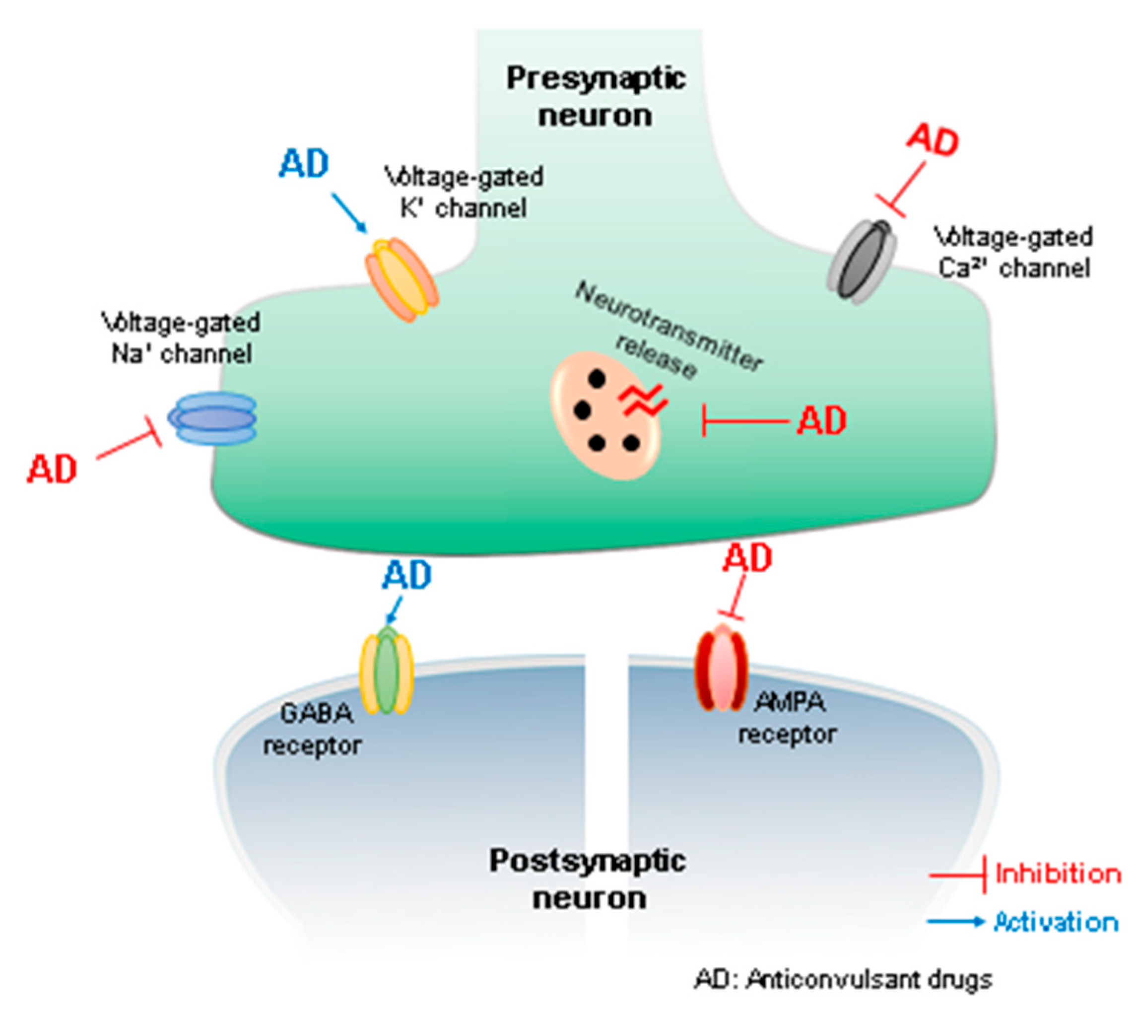 Biomolecules 09 00835 g001 Biomolecules 09 00835 g001
