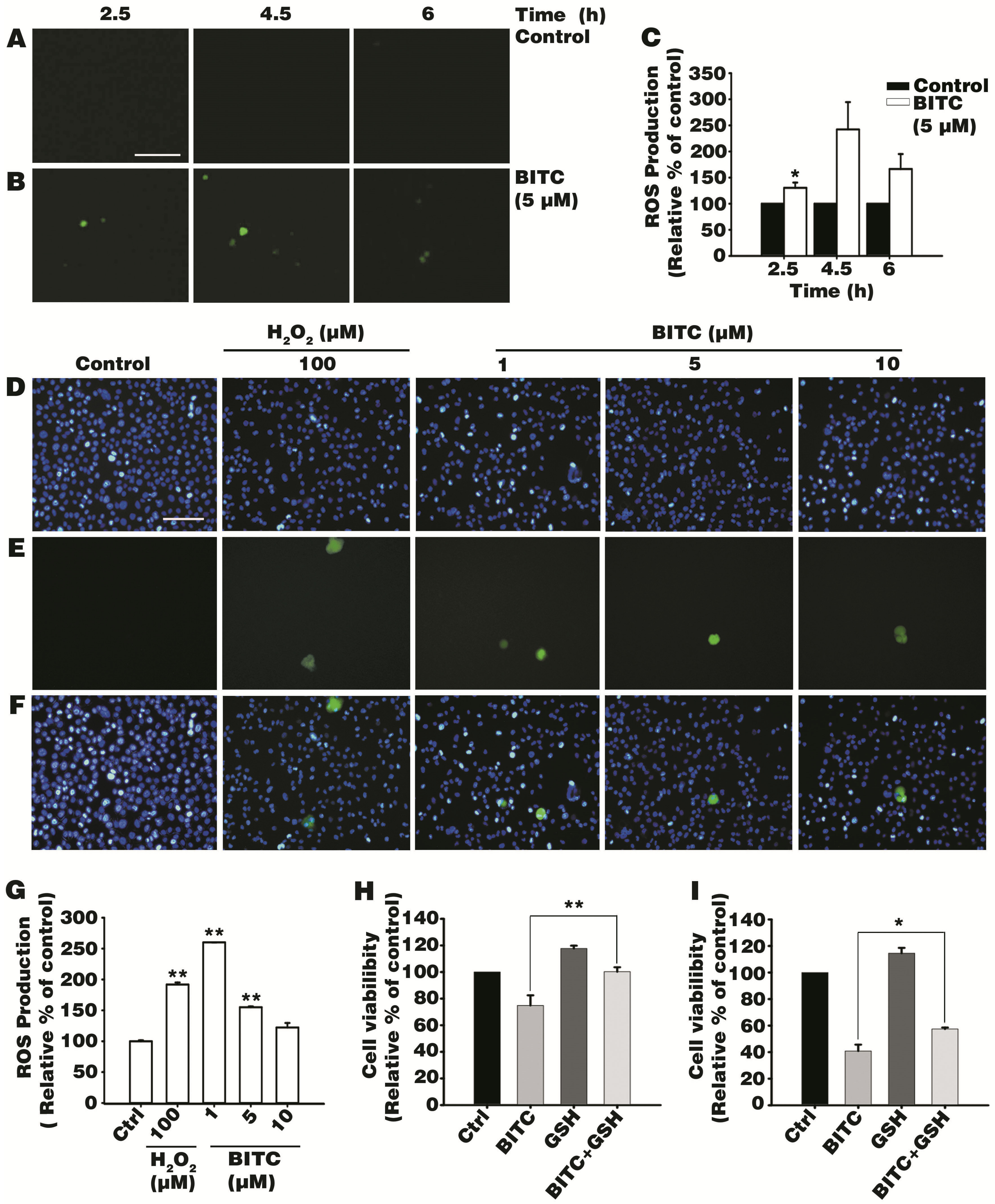 Biomolecules 09 00839 g002 Biomolecules 09 00839 g002