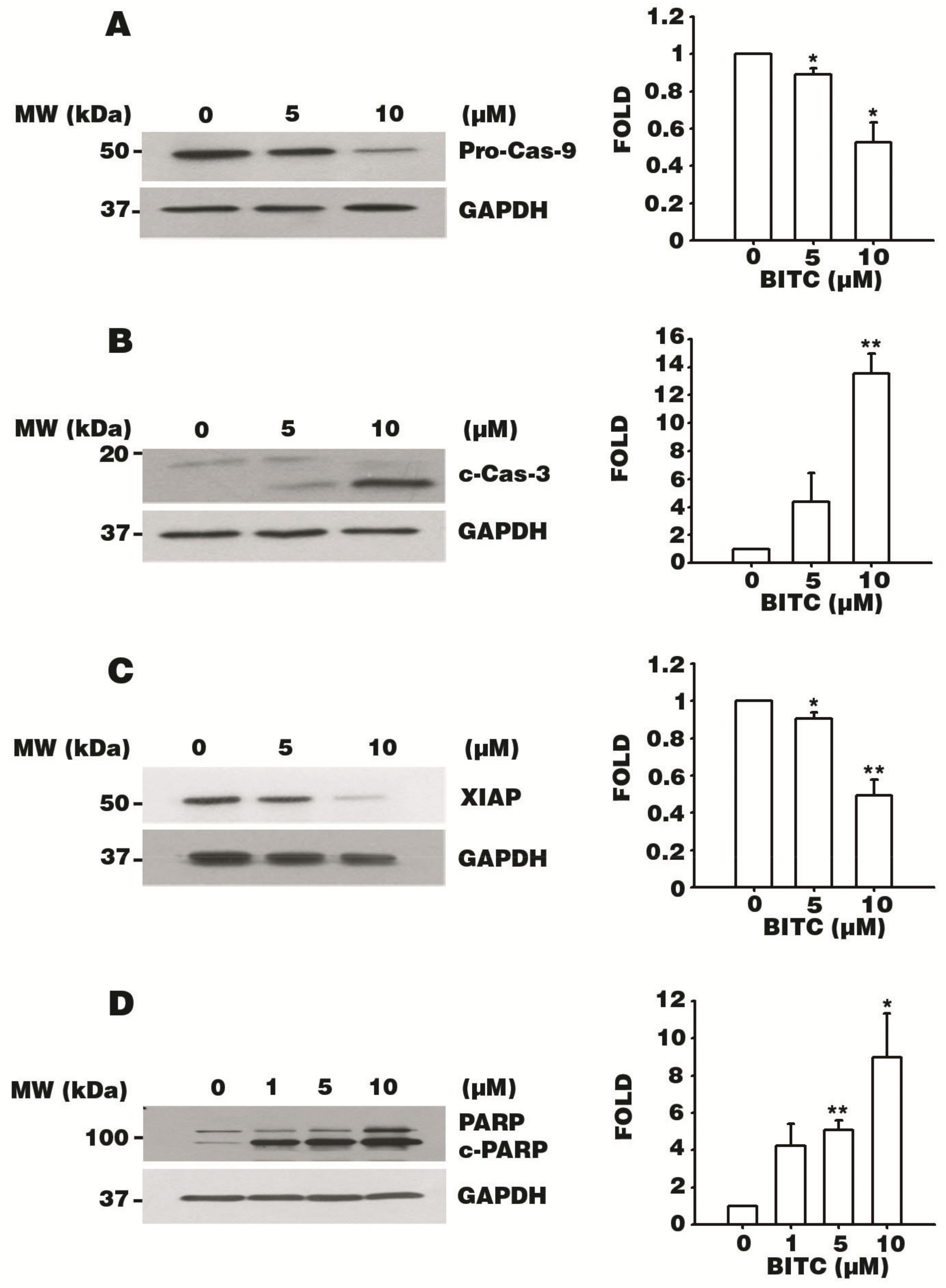 Biomolecules 09 00839 g004 Biomolecules 09 00839 g004