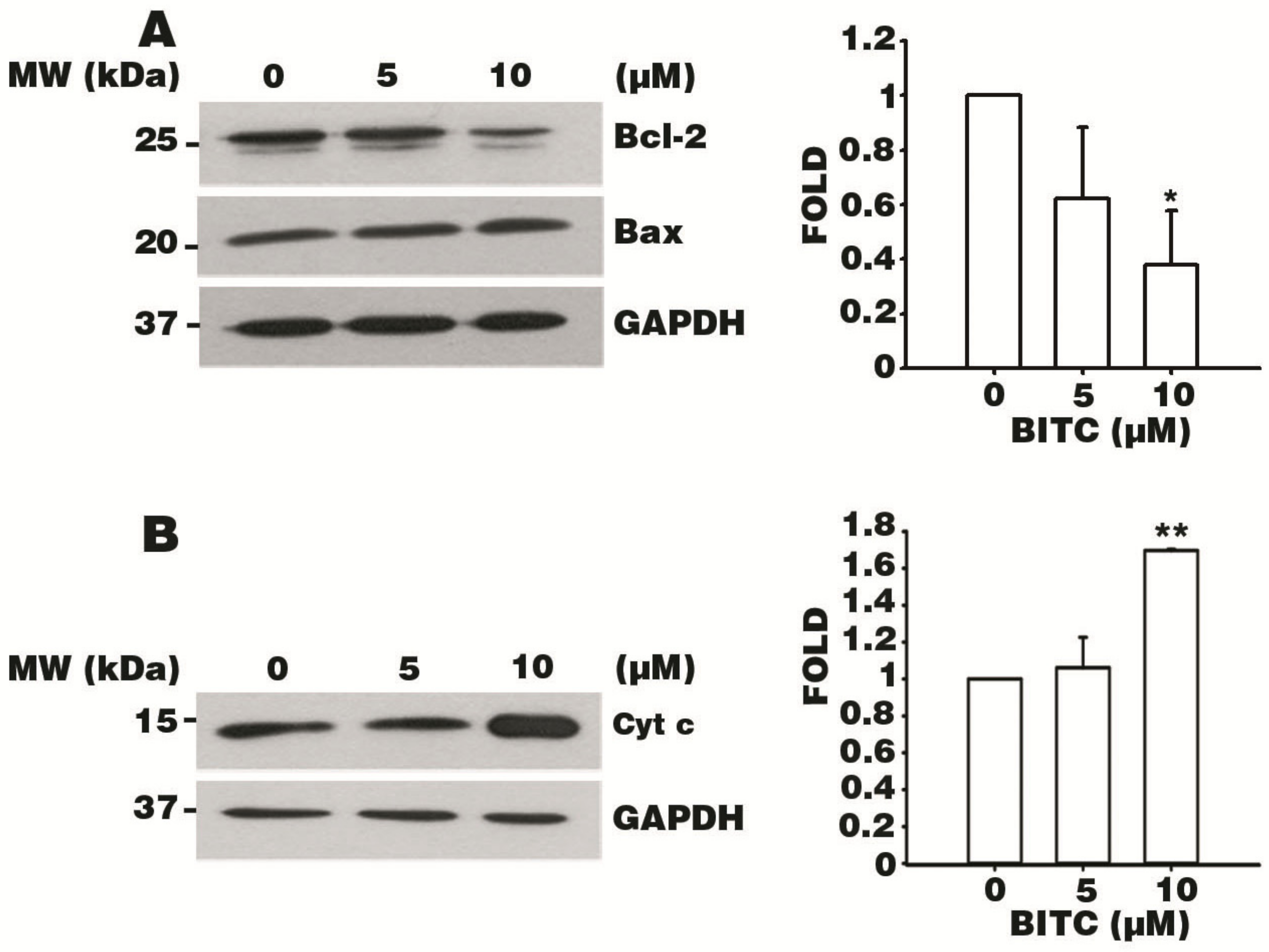 Biomolecules 09 00839 g005 Biomolecules 09 00839 g005