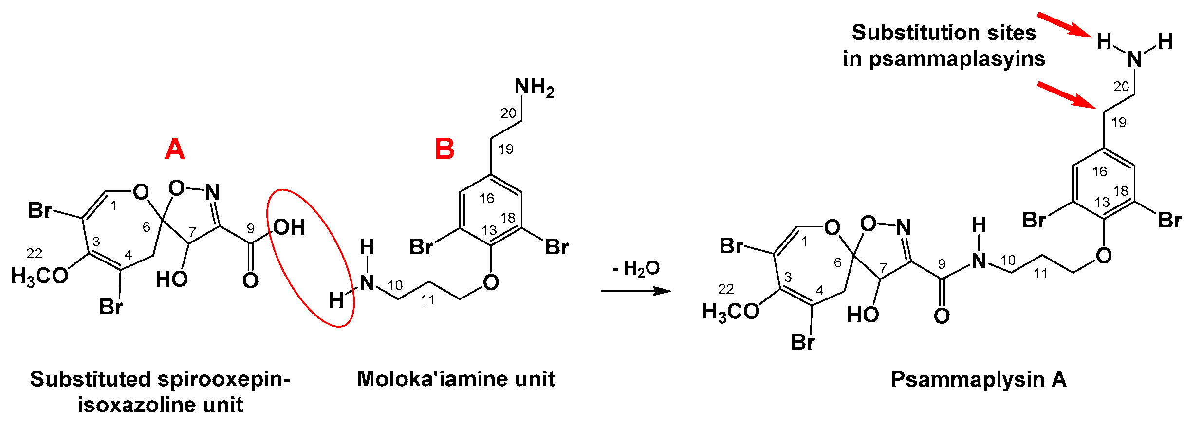 Biomolecules 09 00841 g001 Biomolecules 09 00841 g001