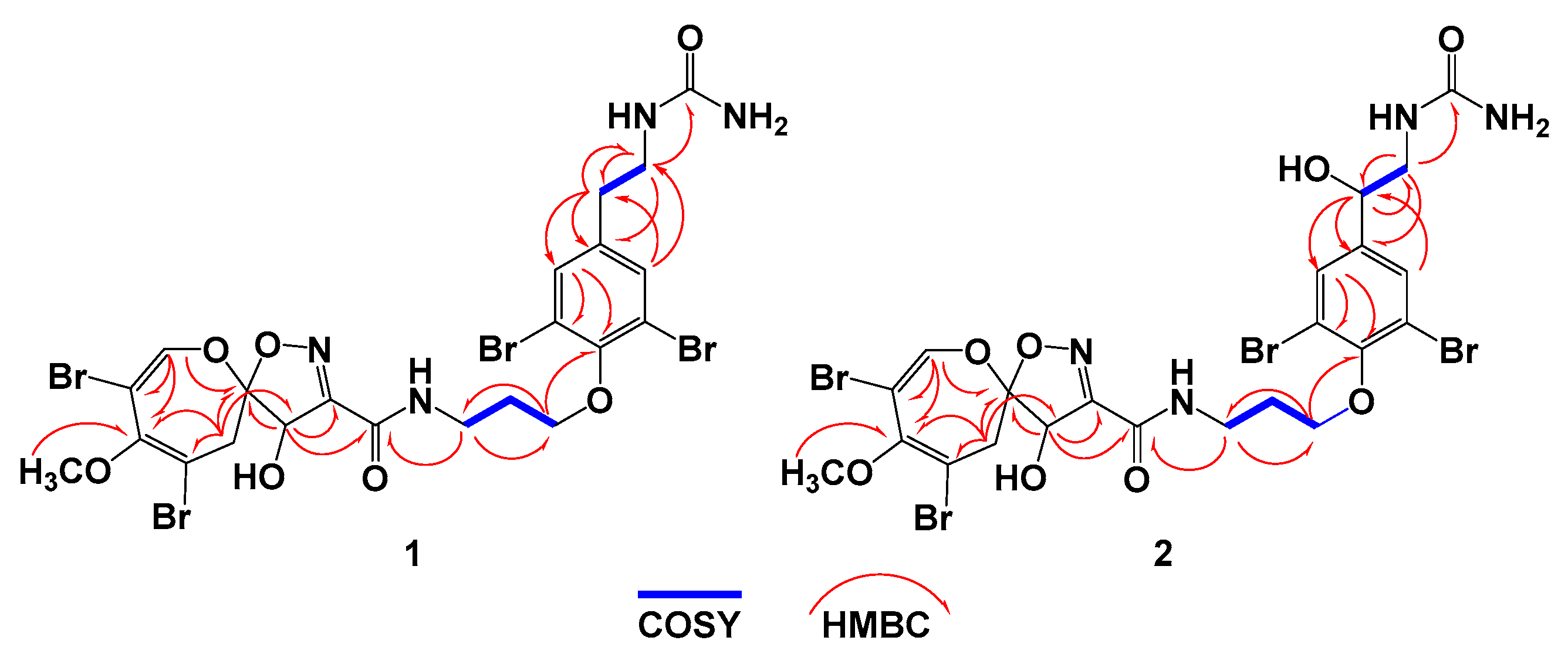Biomolecules 09 00841 g003 Biomolecules 09 00841 g003