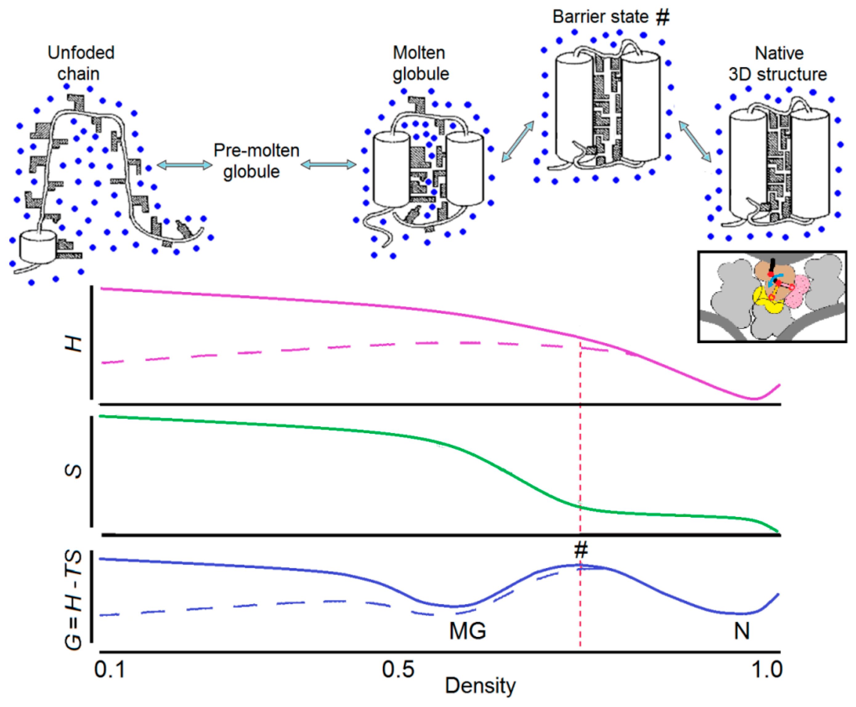 Biomolecules 09 00842 g002